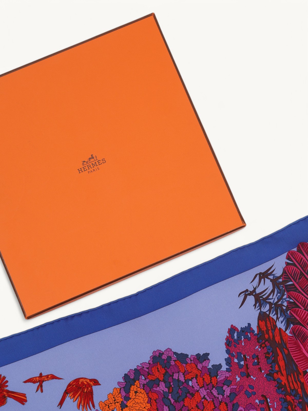 Hermes Silk Scarf 6