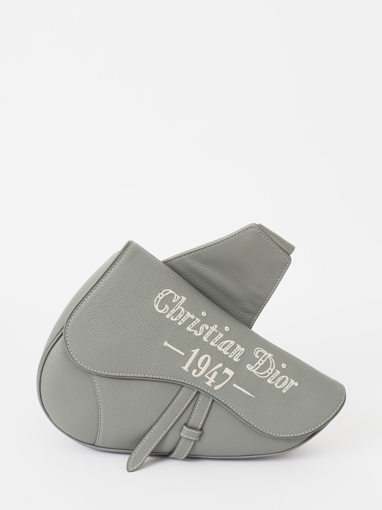 Dior Saddle 0