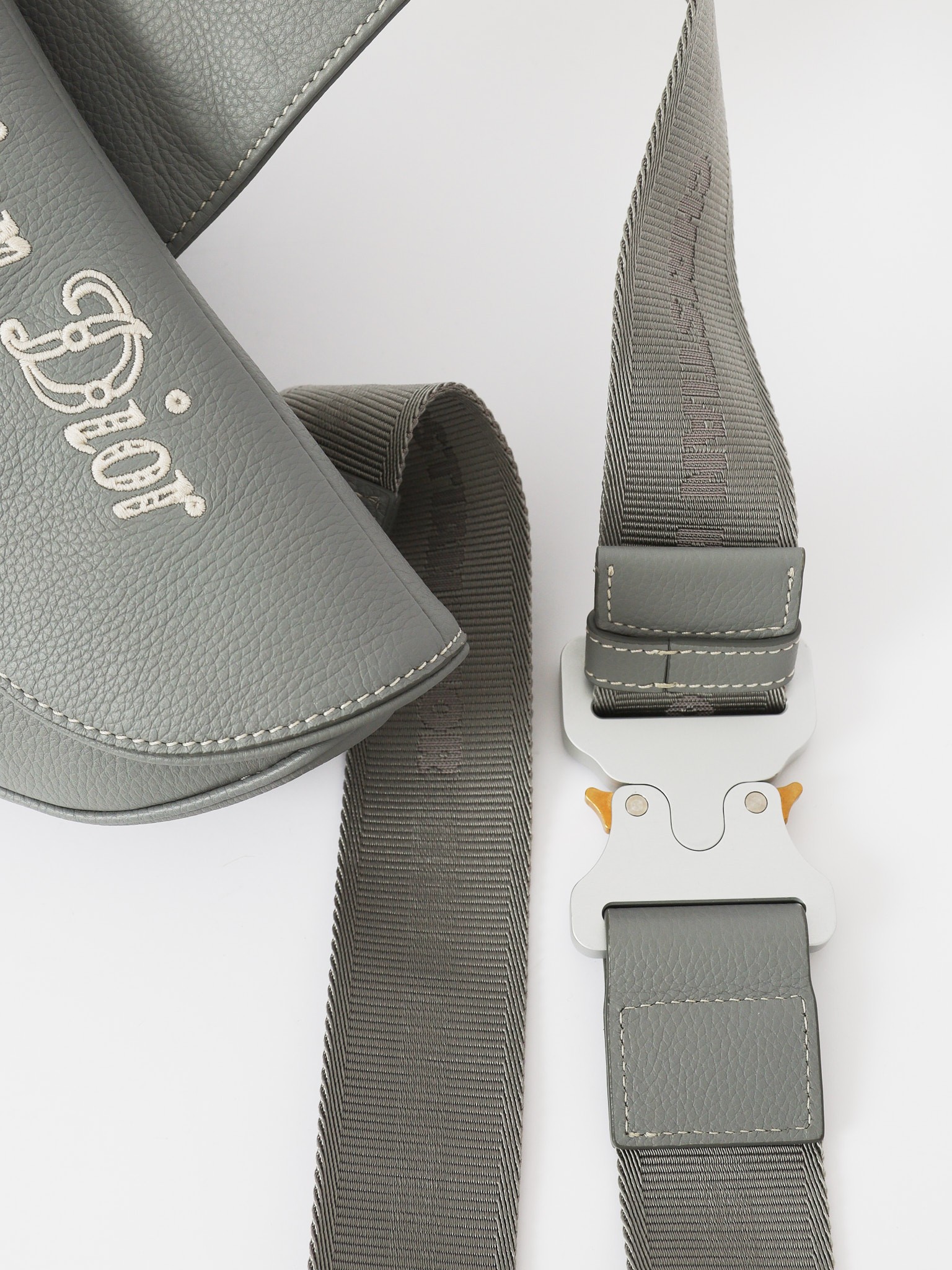 Dior Saddle 6