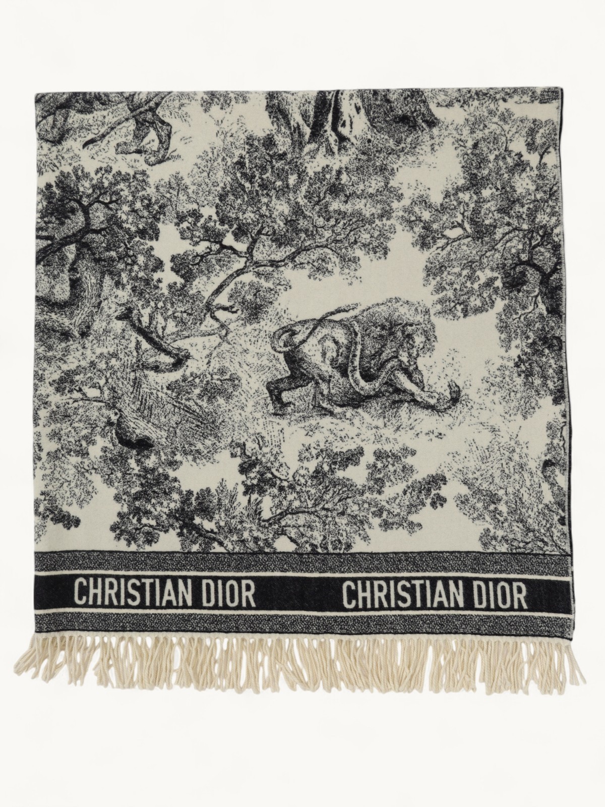 Christian Dior Blanket 0