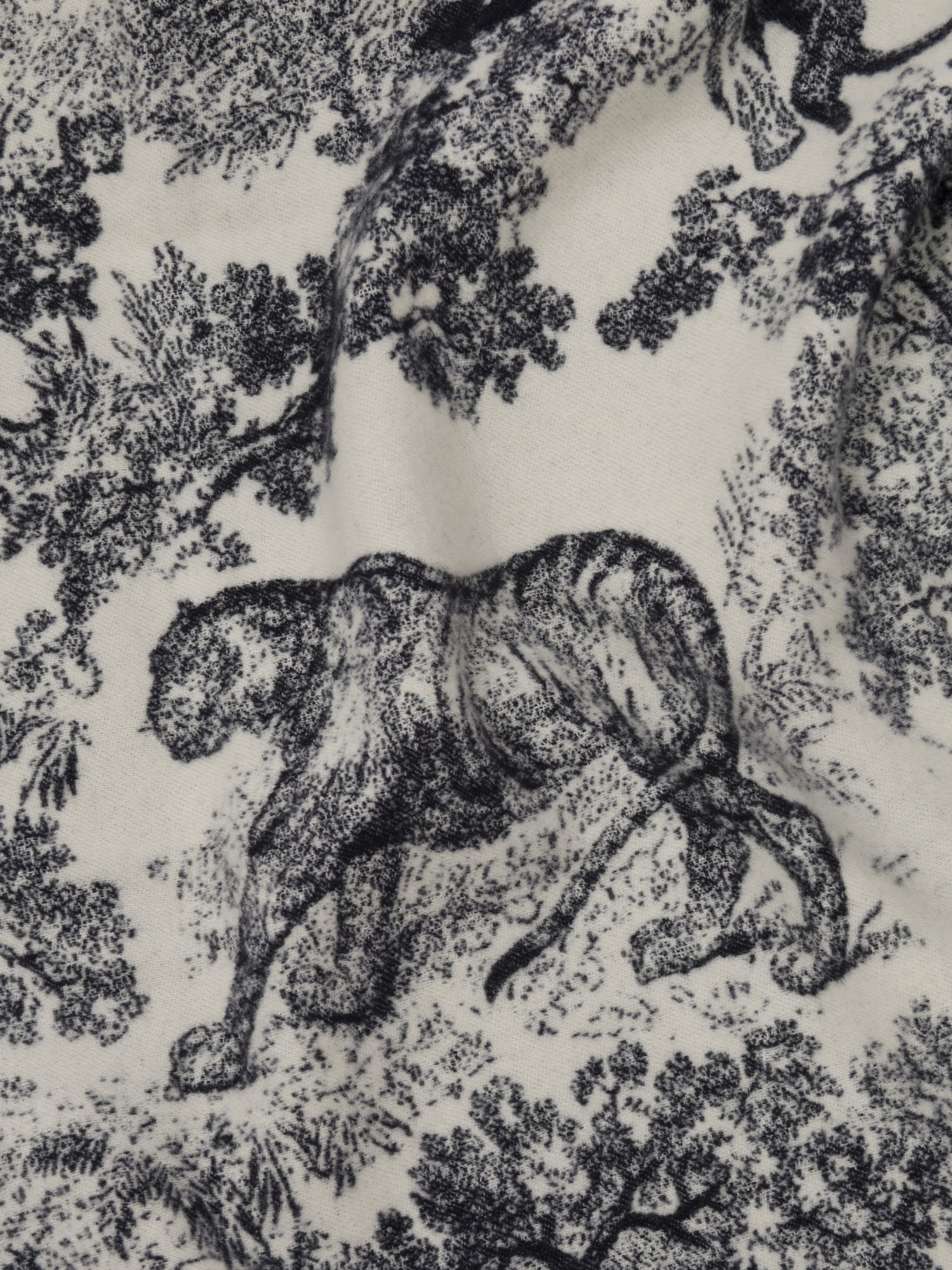 Christian Dior Blanket 5