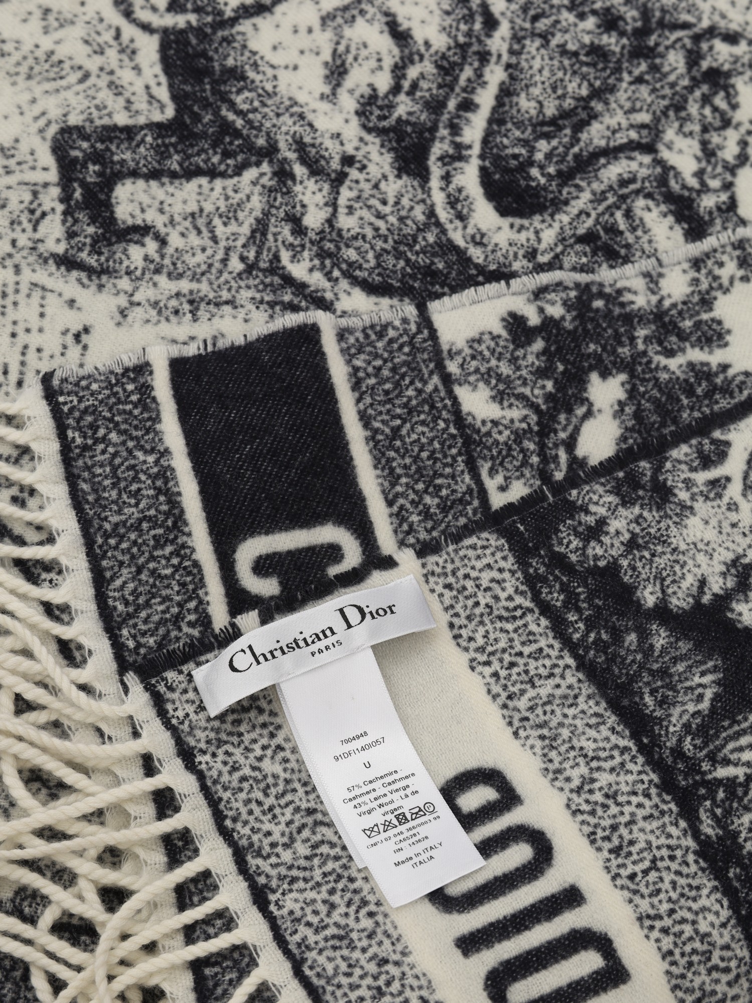 Christian Dior Blanket 4