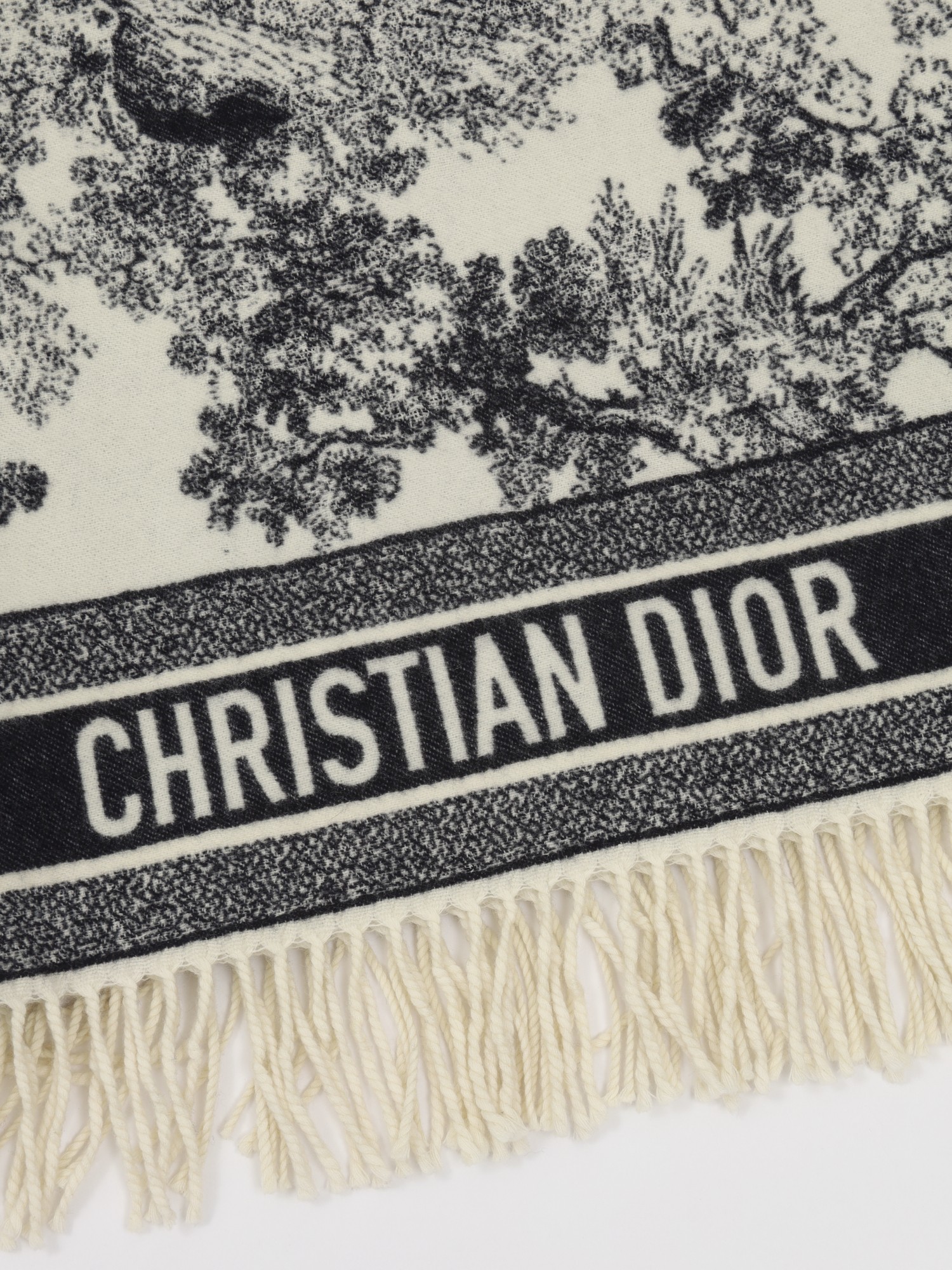 Christian Dior Blanket 1