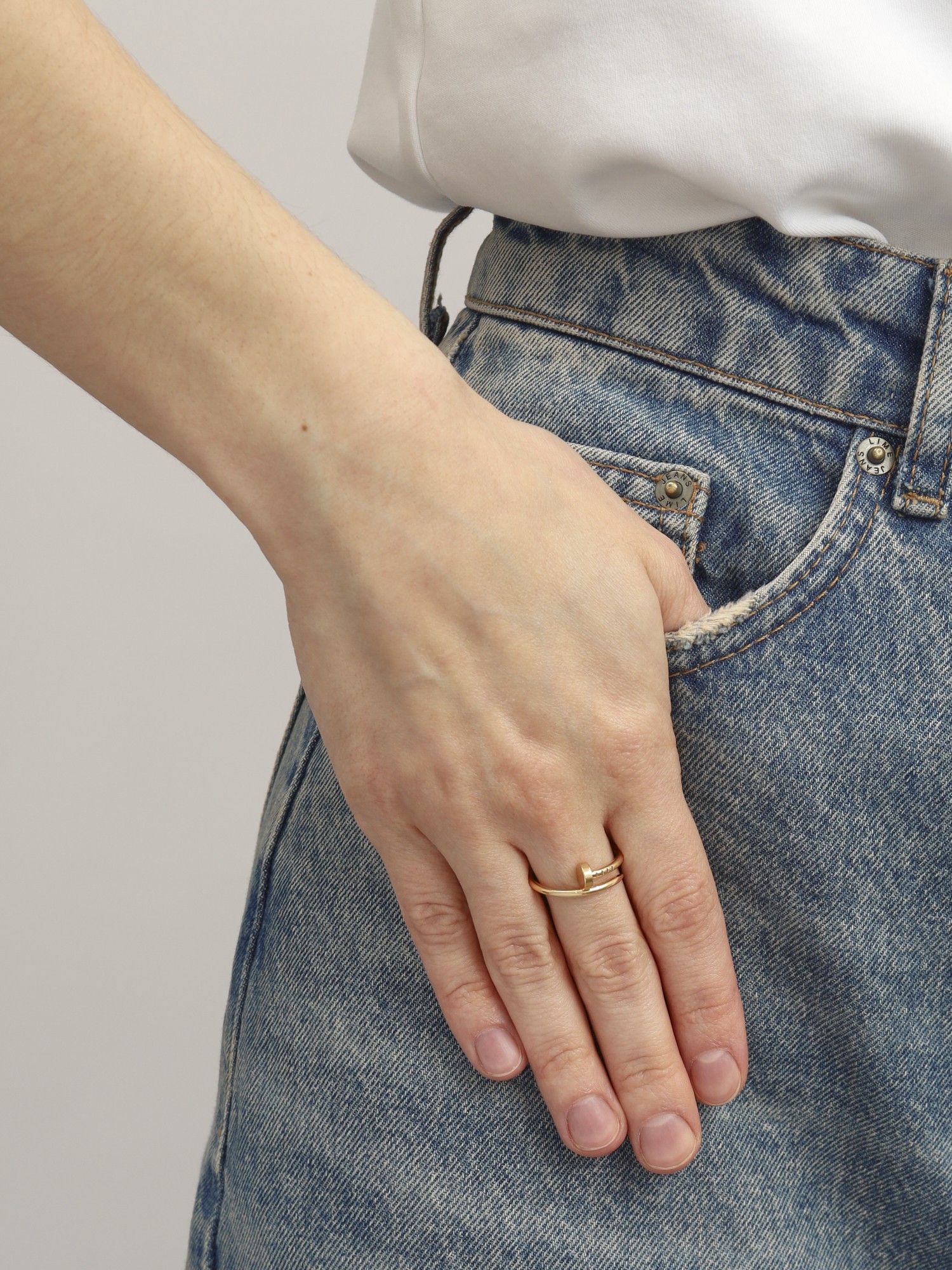 Cartier Juste un Clou 1