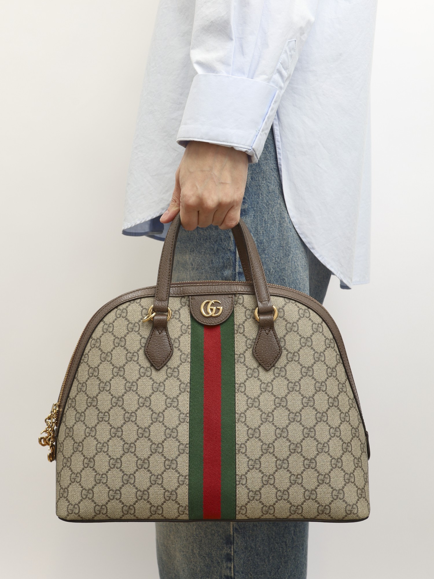 Gucci Ophidia 1