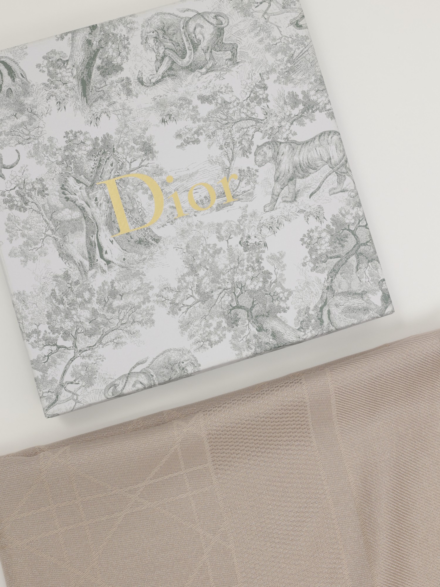 Christian Dior Scarf 2