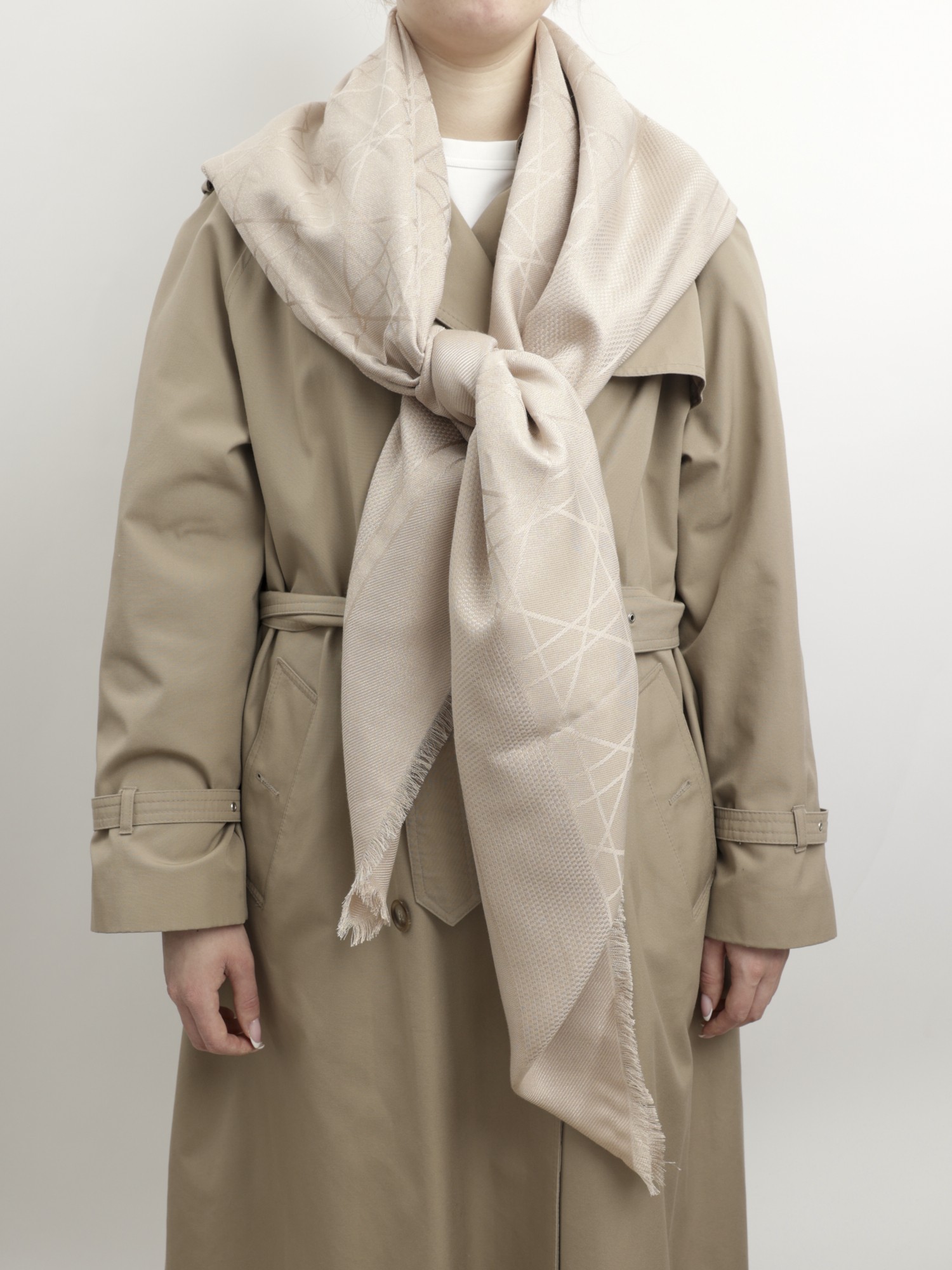 Christian Dior Scarf 1