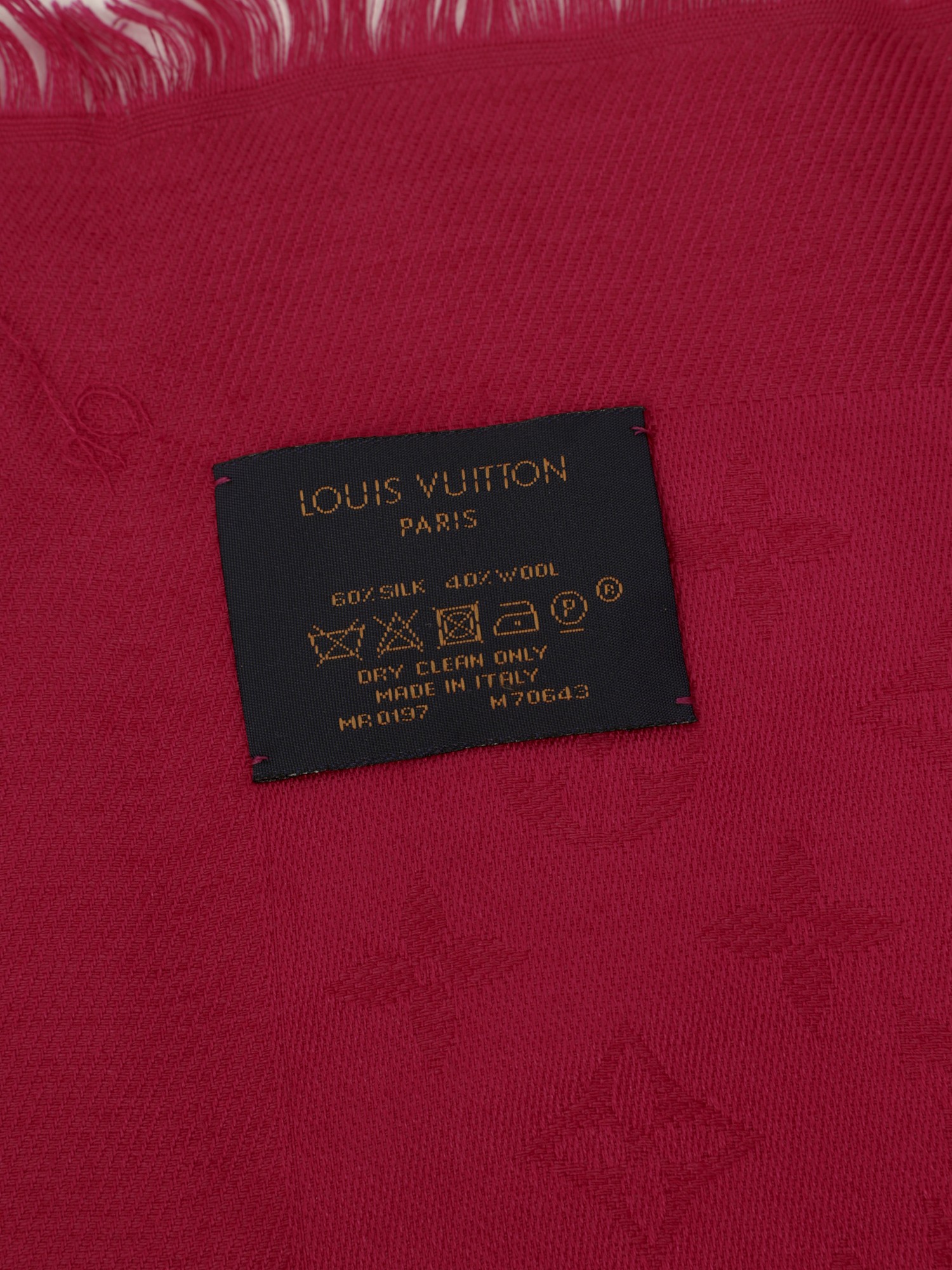 Louis Vuitton Scarf 5