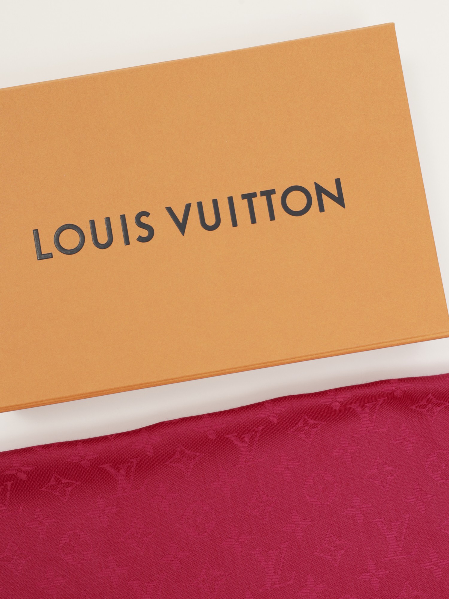 Louis Vuitton Scarf 2