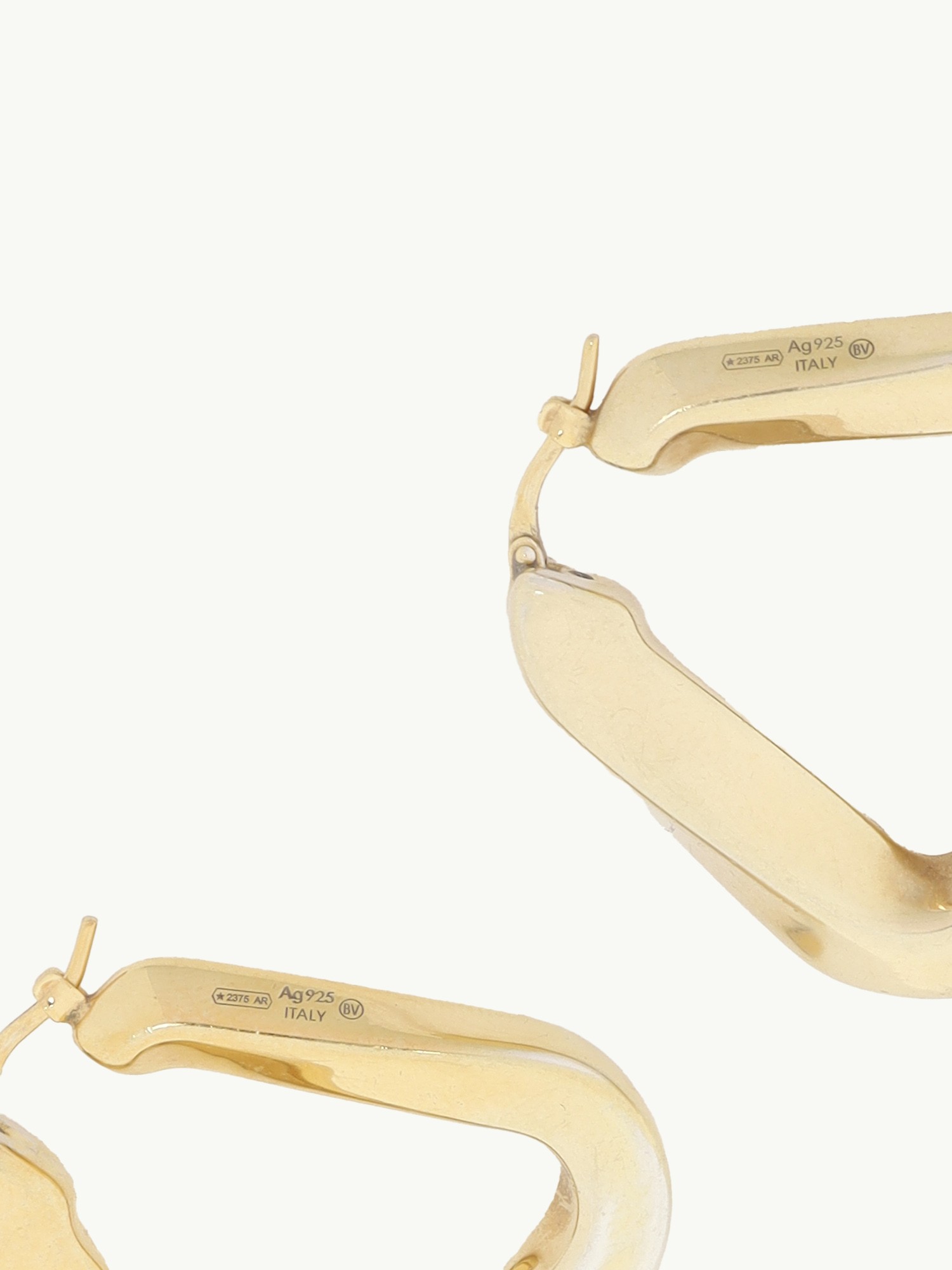 Bottega Veneta Earrings 3