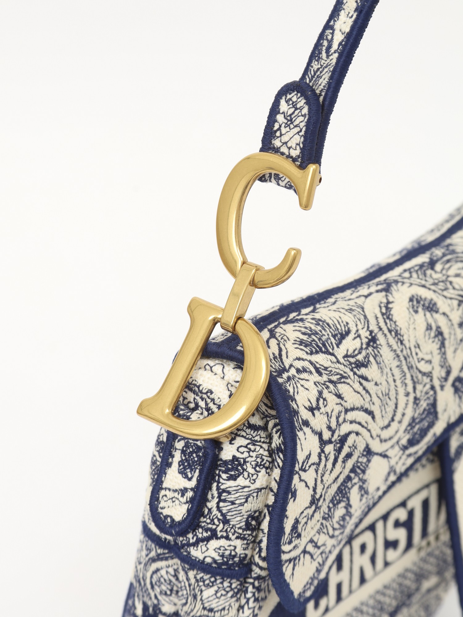 Christian Dior Saddle  6