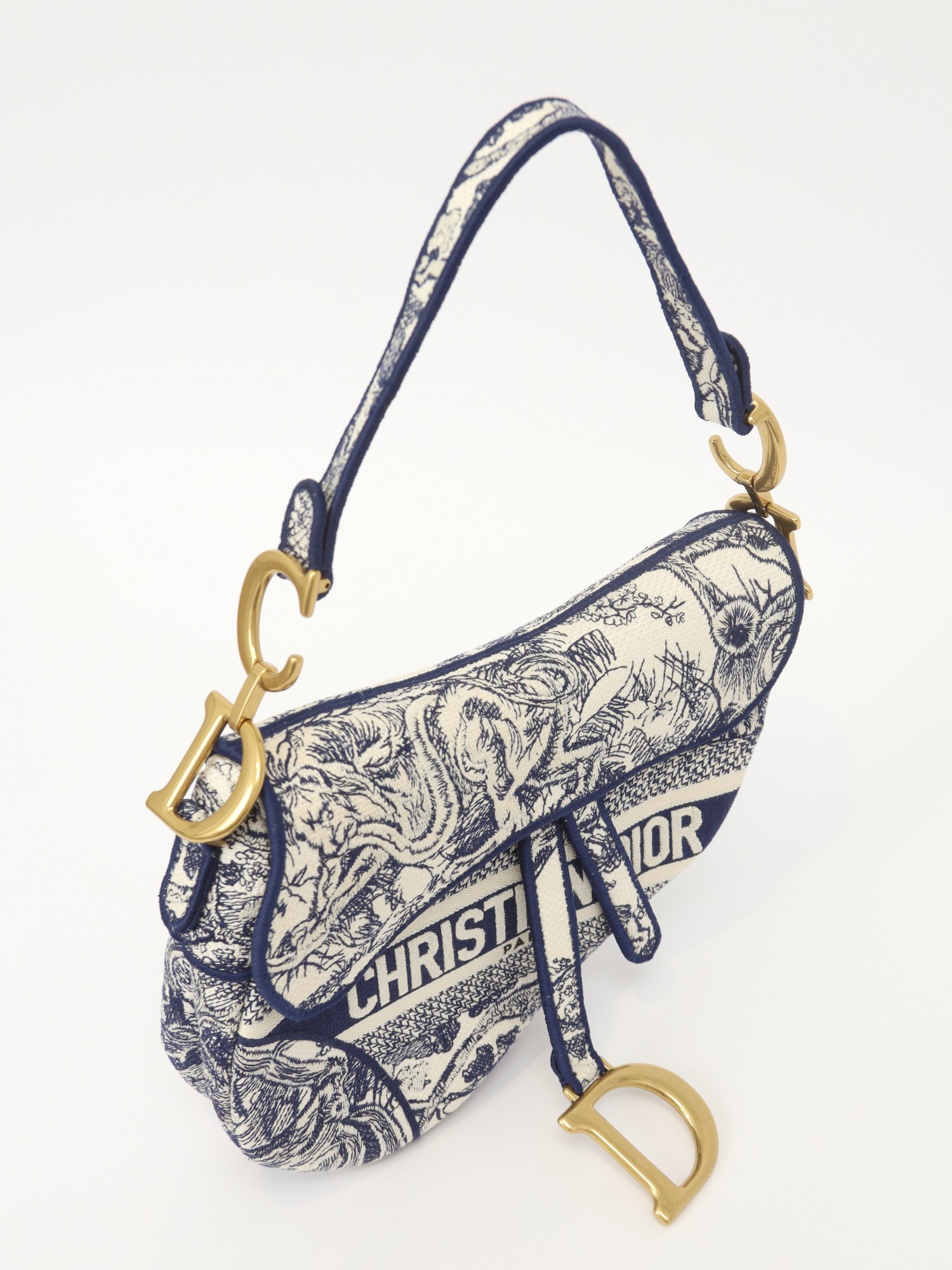Christian Dior Saddle  4