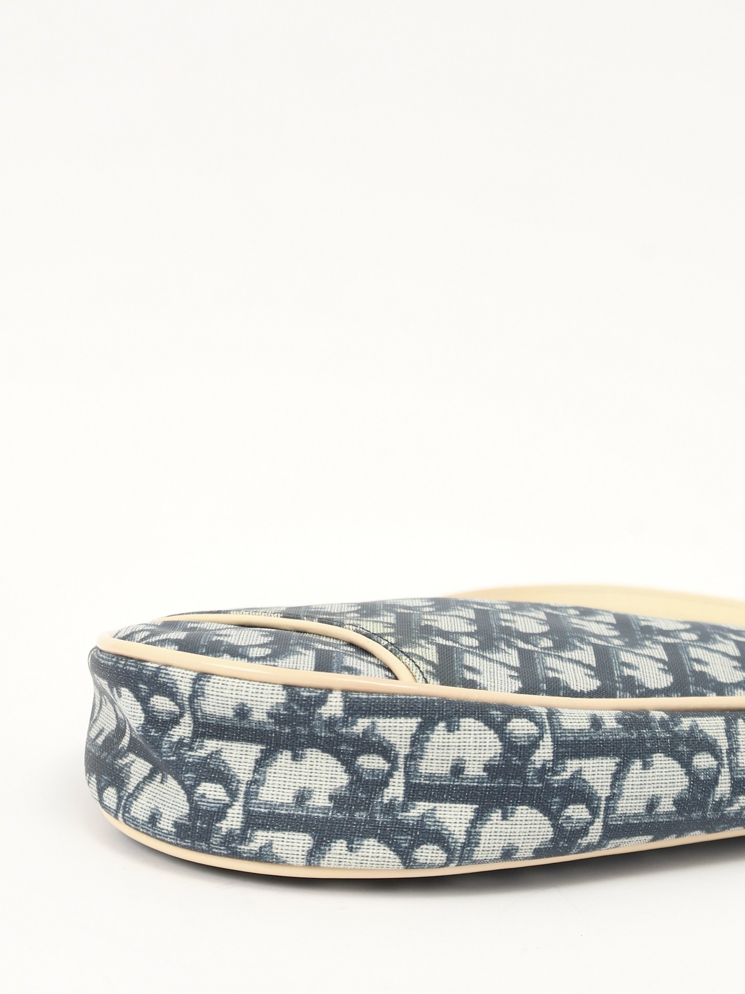 Christian Dior Saddle 7