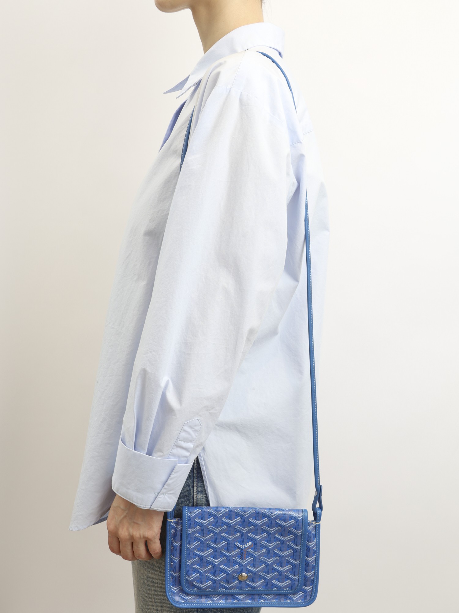 Goyard Plumet 1