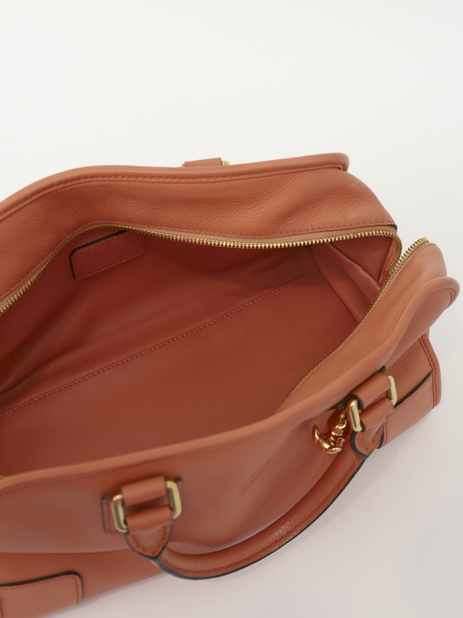 Loewe Amazona  13