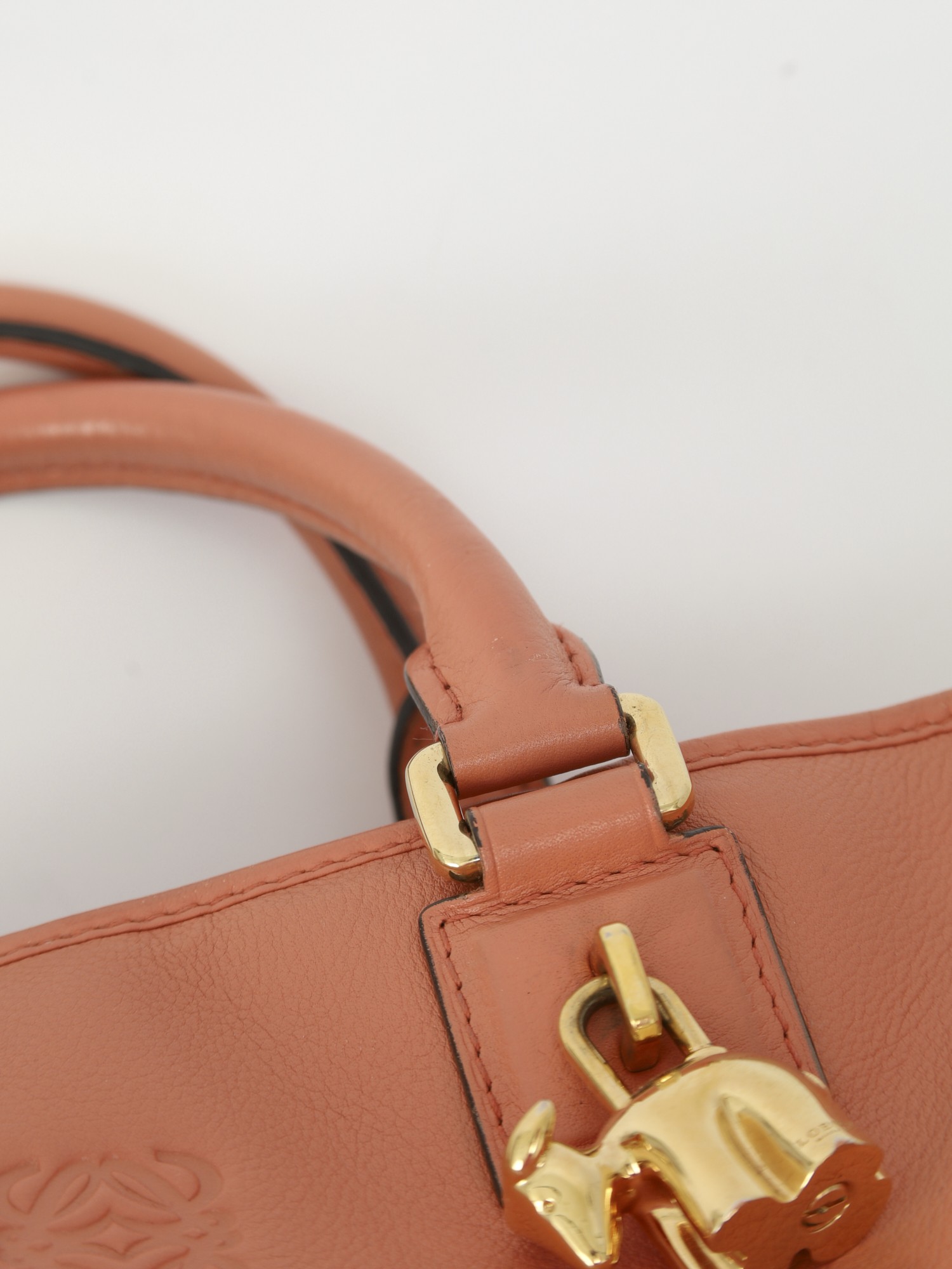 Loewe Amazona  10