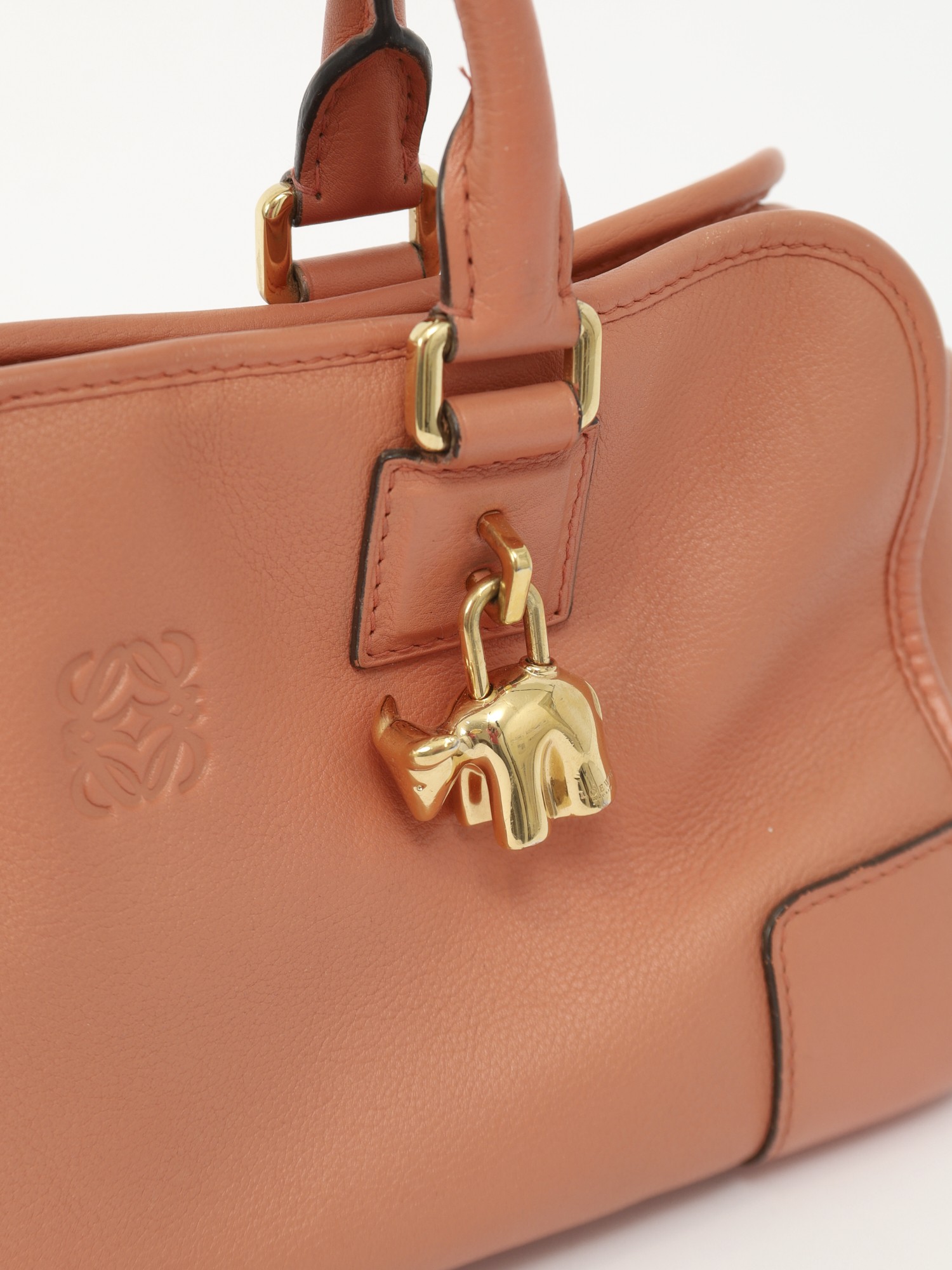 Loewe Amazona  5