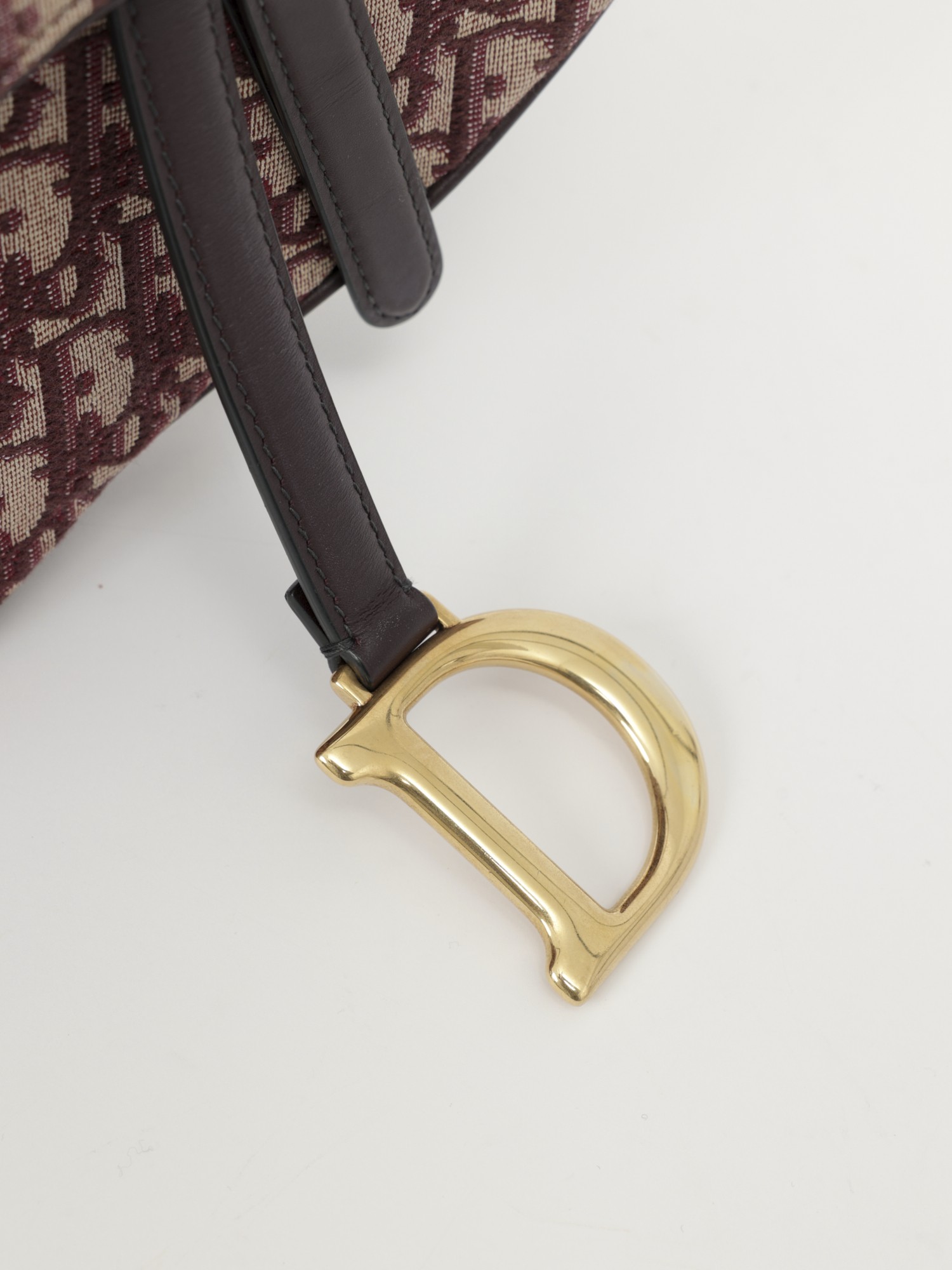 Dior Saddle 5
