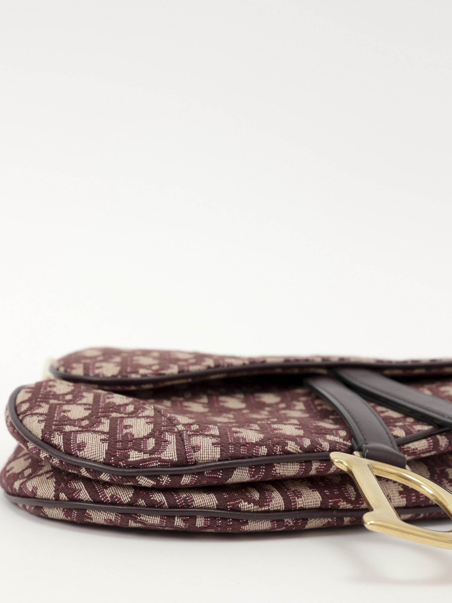 Dior Saddle 8
