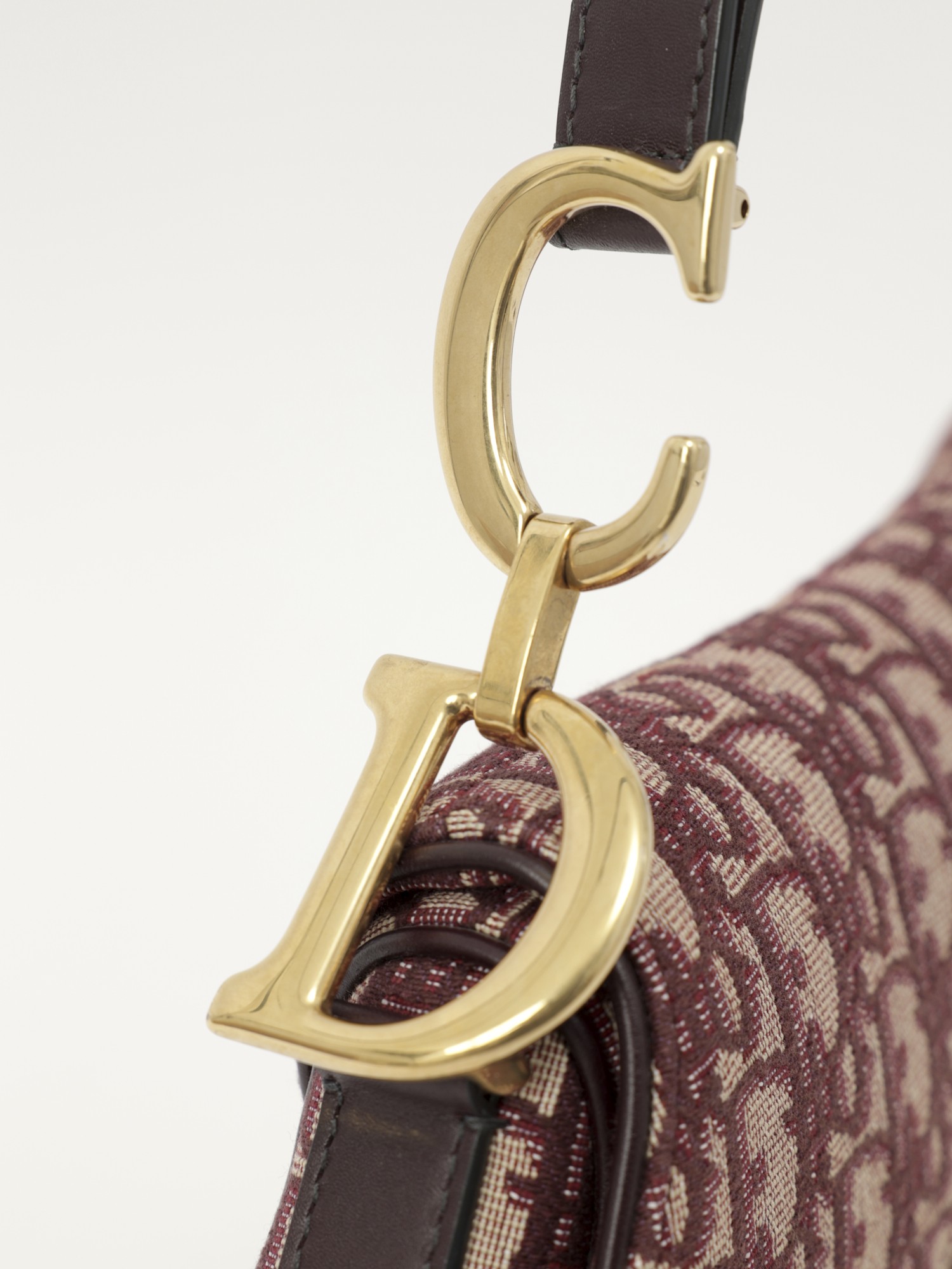 Dior Saddle 6