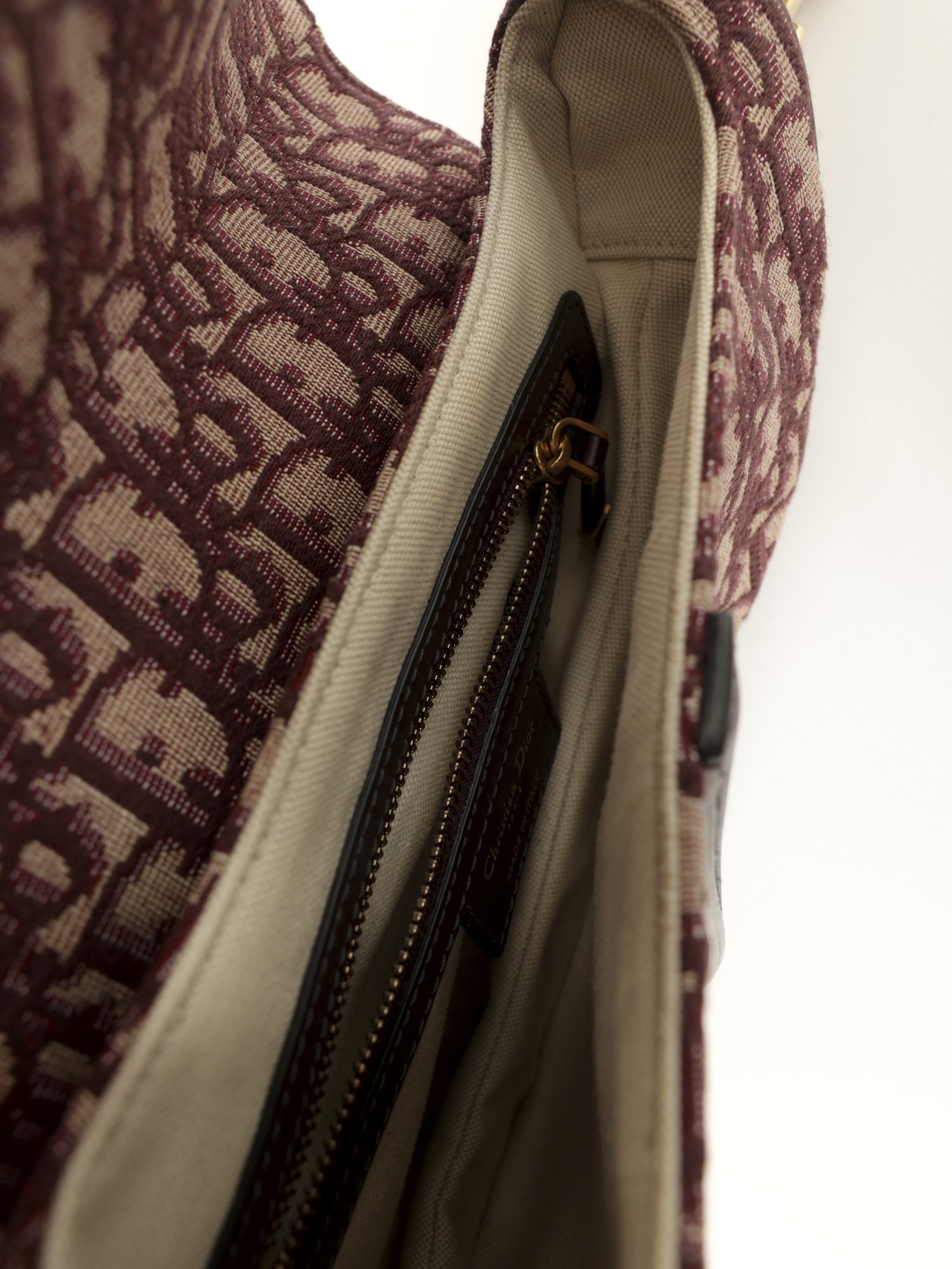 Dior Saddle 10