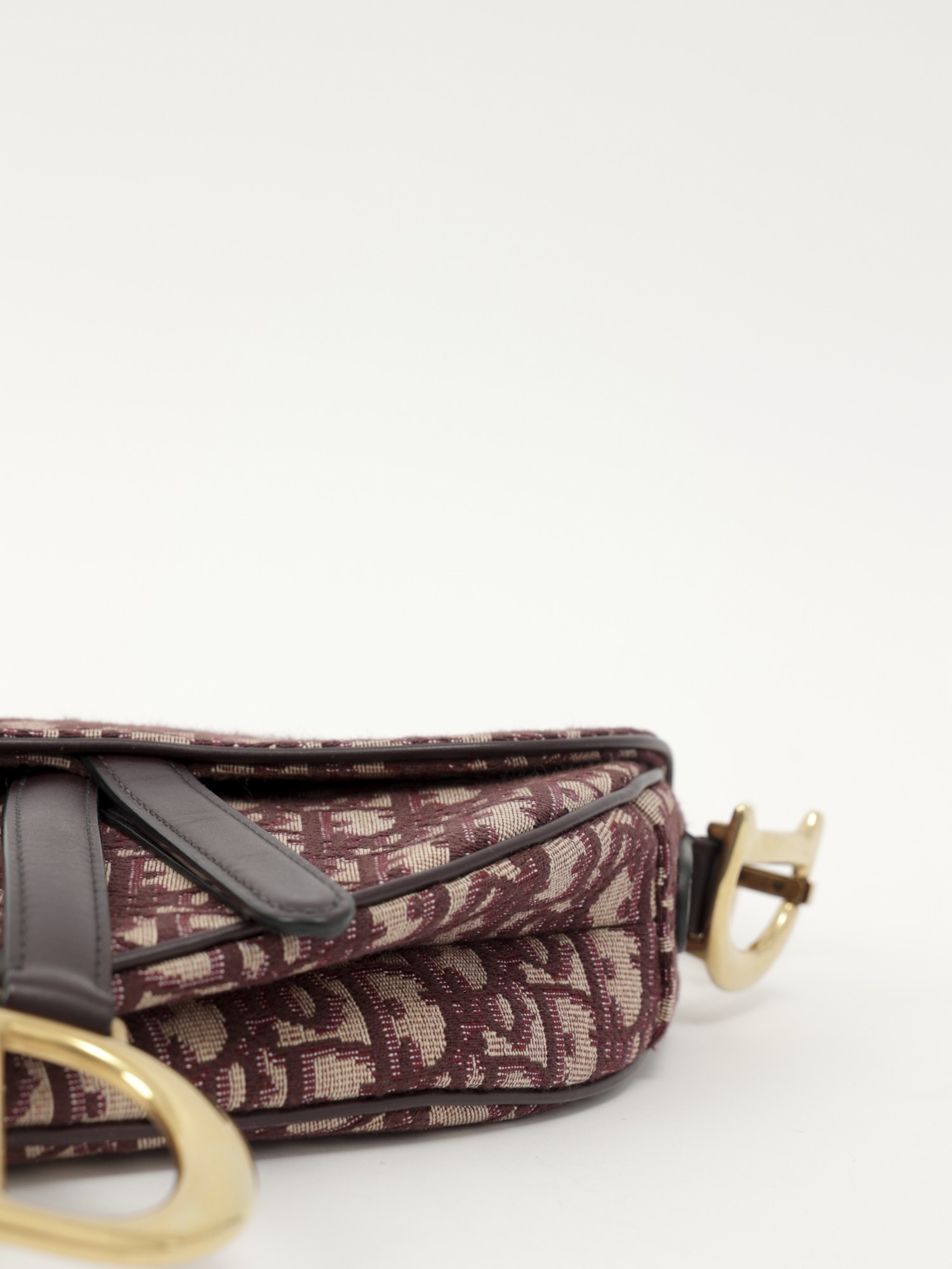 Dior Saddle 9