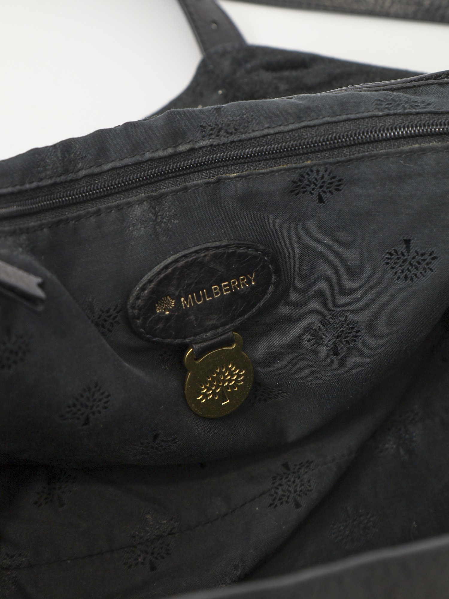 Mulberry Alexa 11