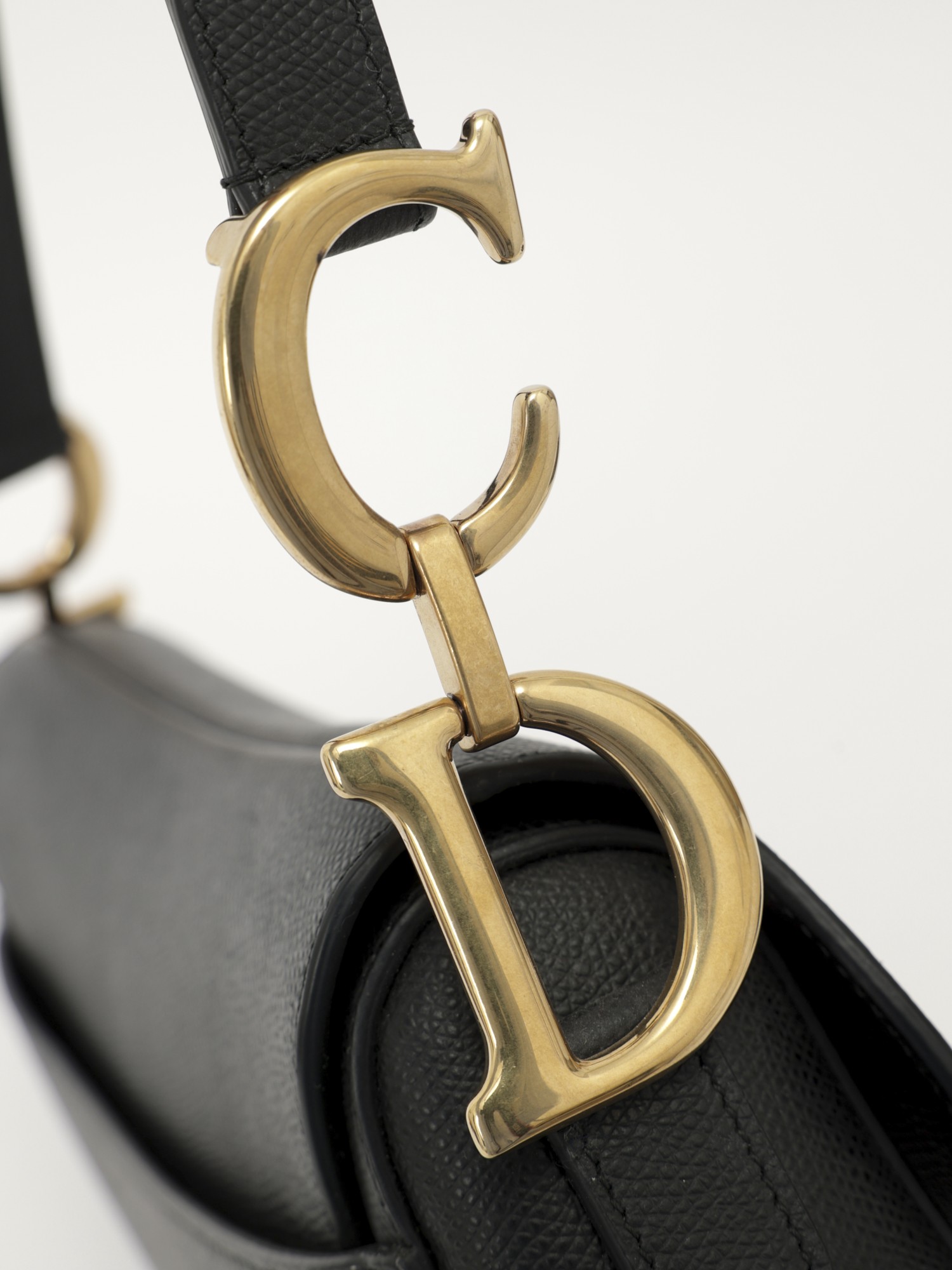 Dior Saddle 6
