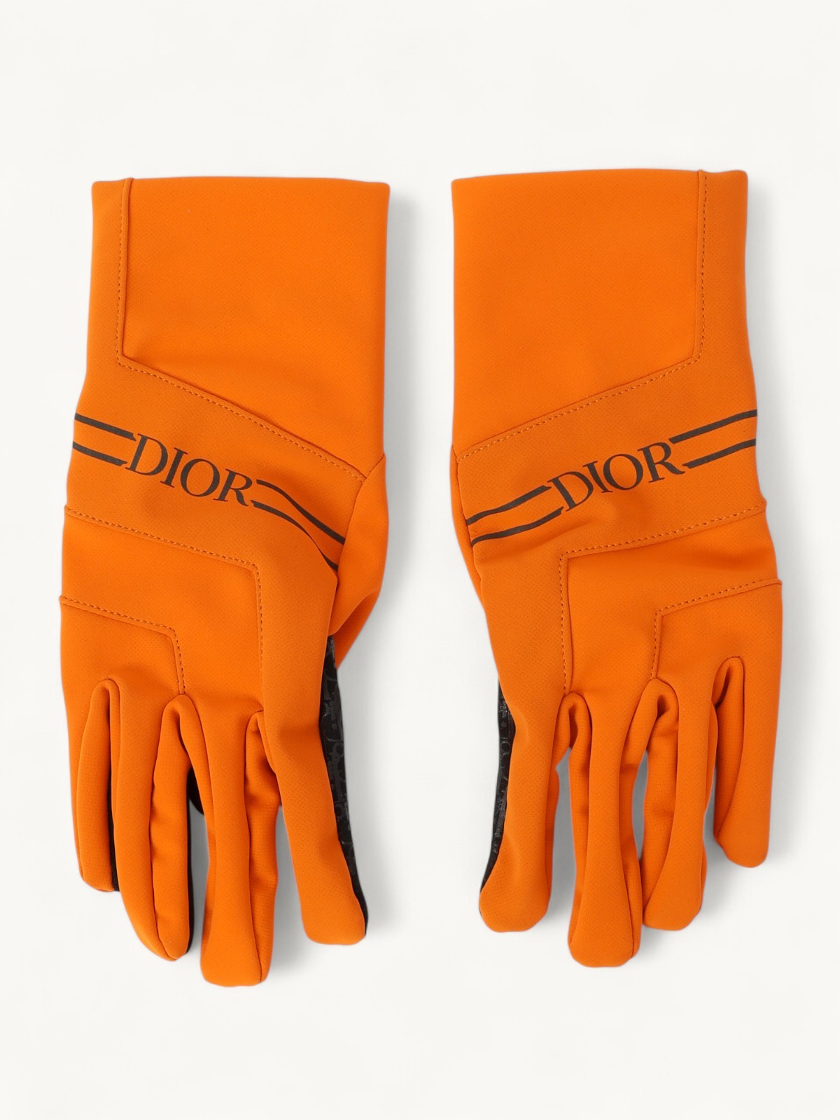 Dior Gloves 2