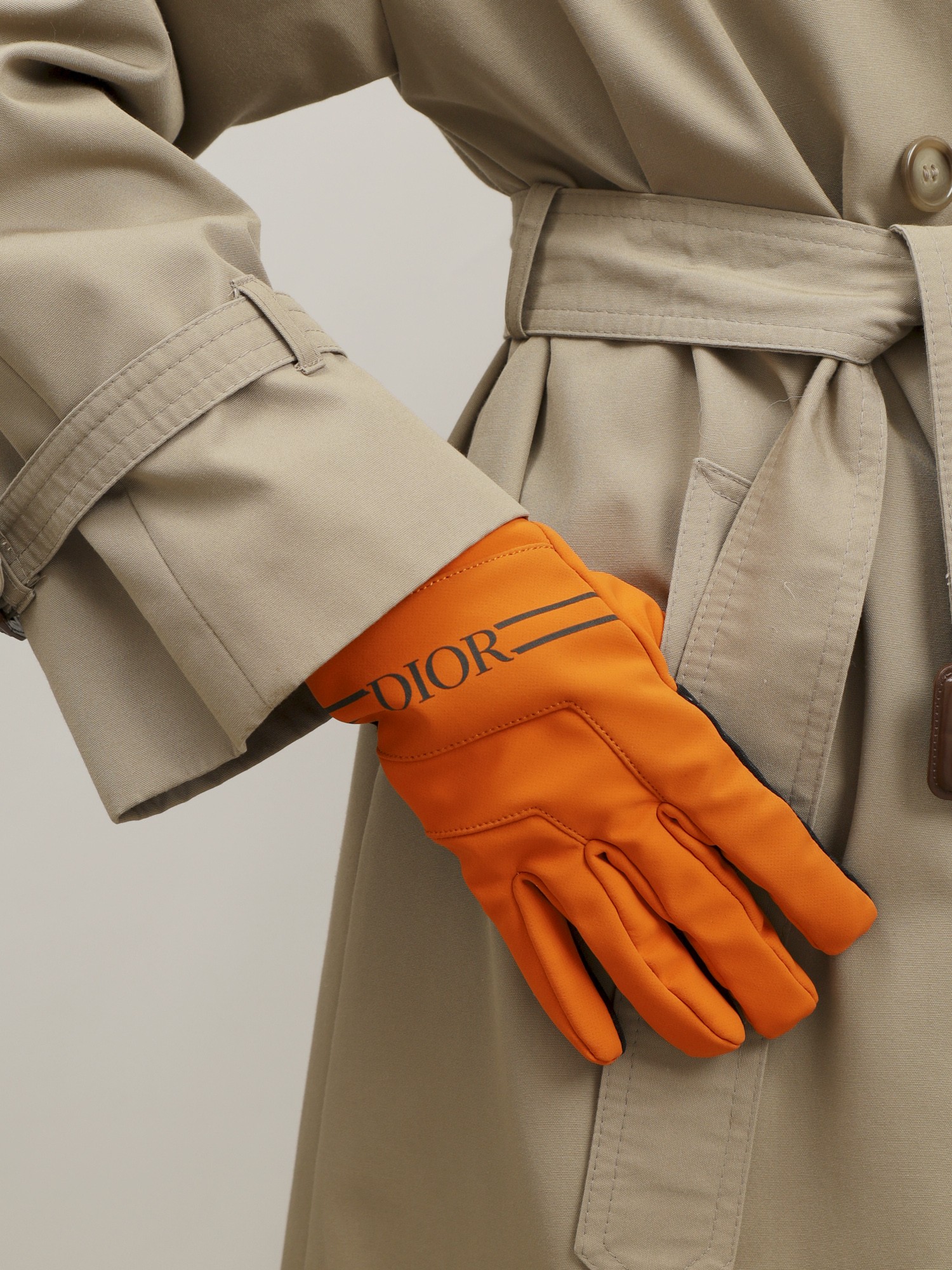 Dior Gloves 1