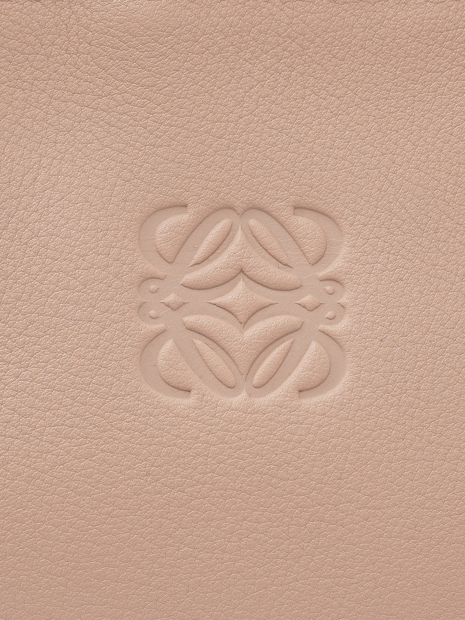 Loewe Amazona 5