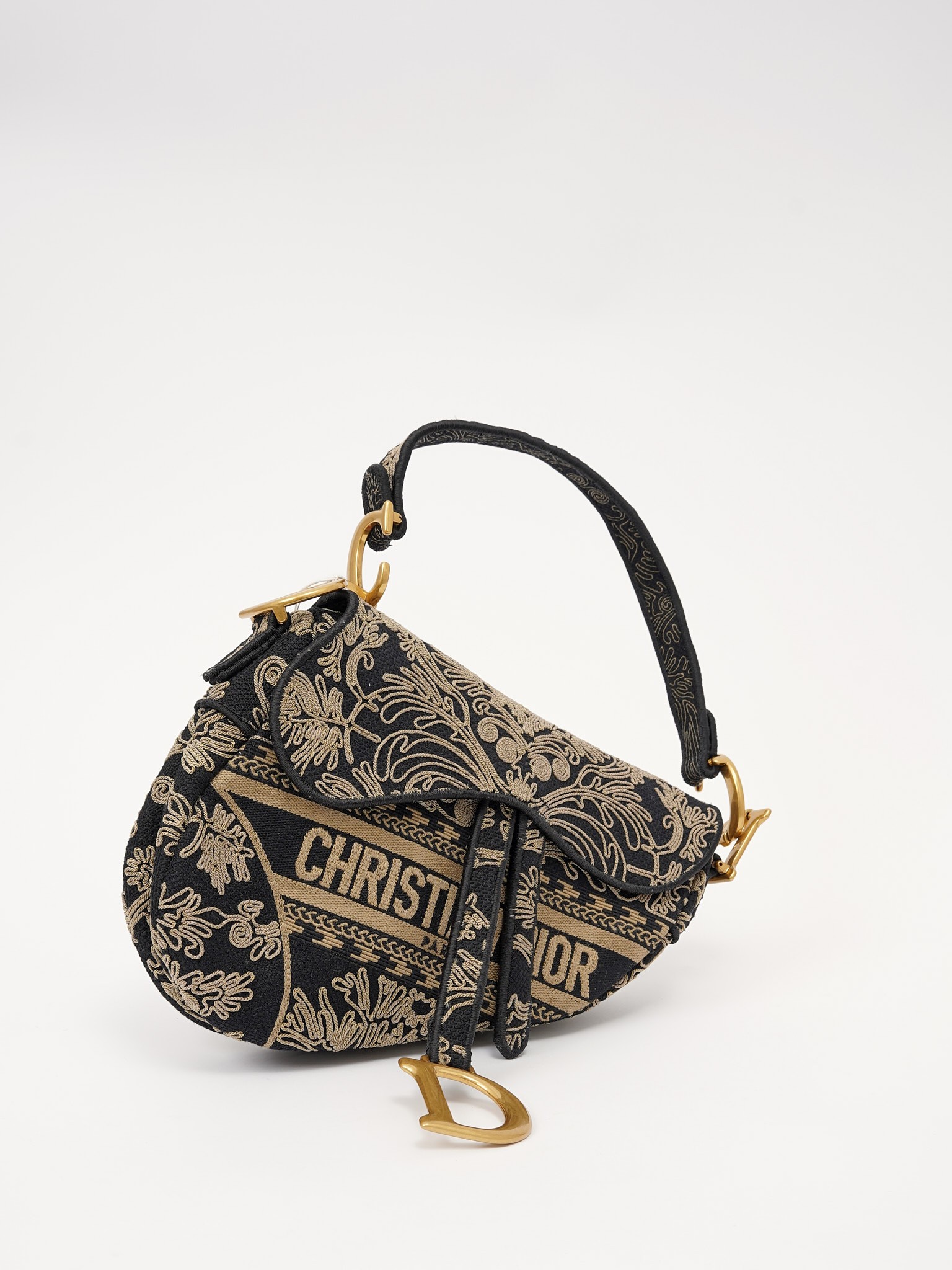 Christian Dior Saddle  2