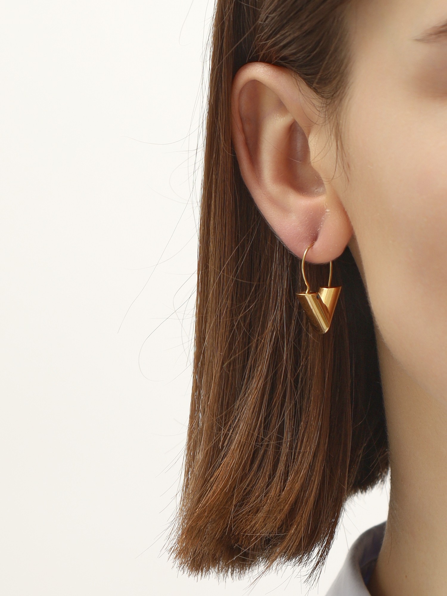 Louis Vuitton Earrings 1