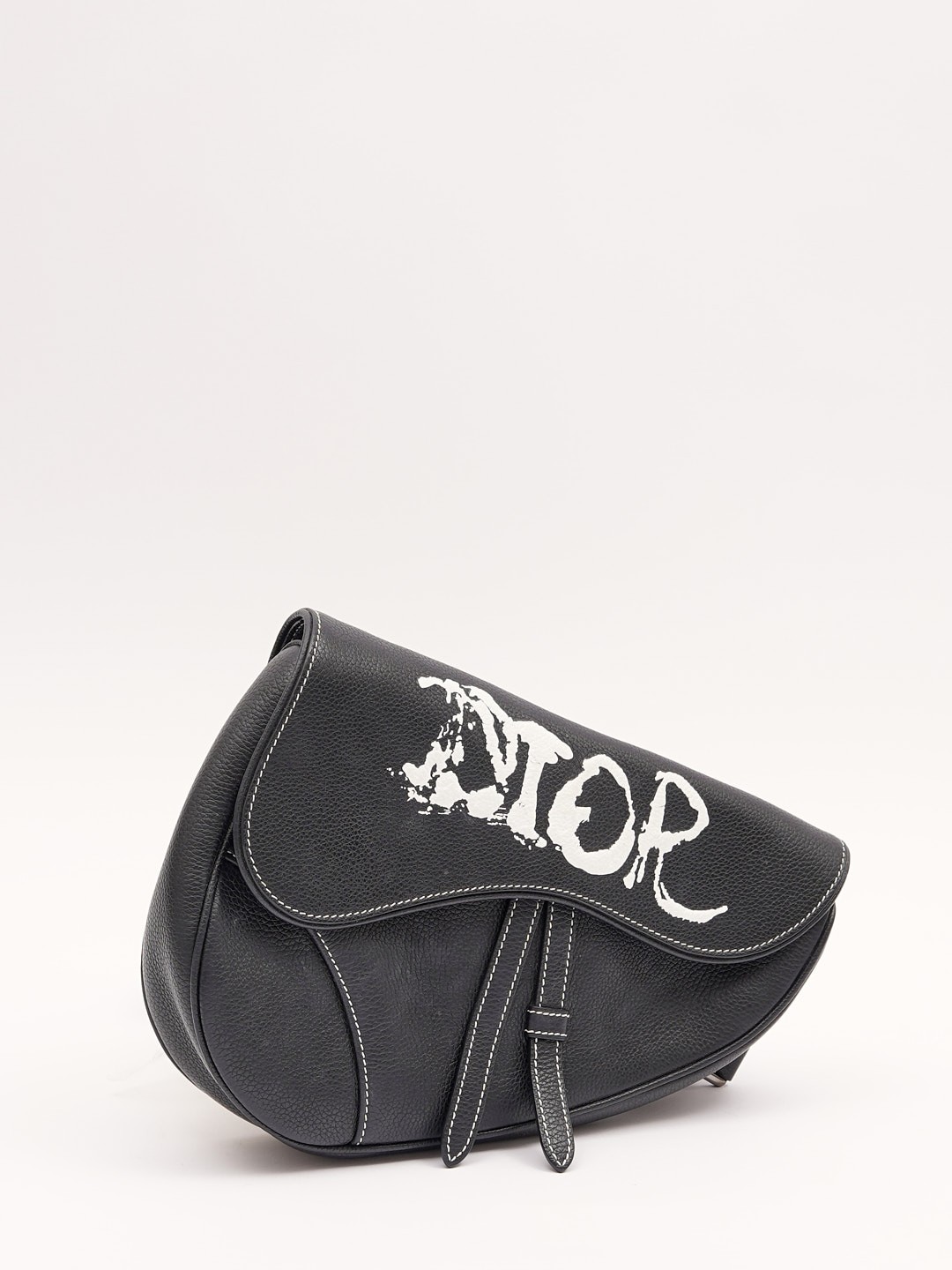 Christian Dior Saddle  2