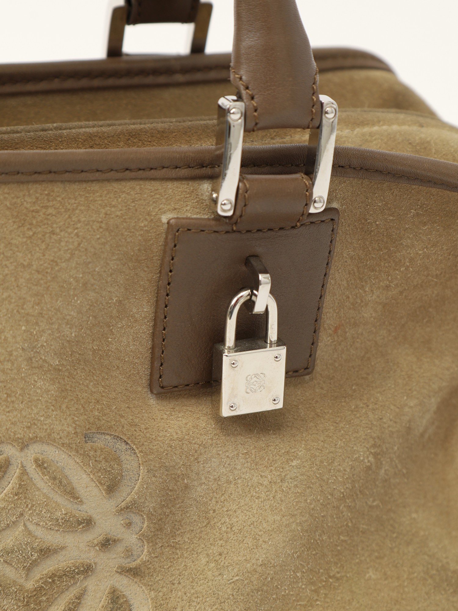 Loewe Amazona  5