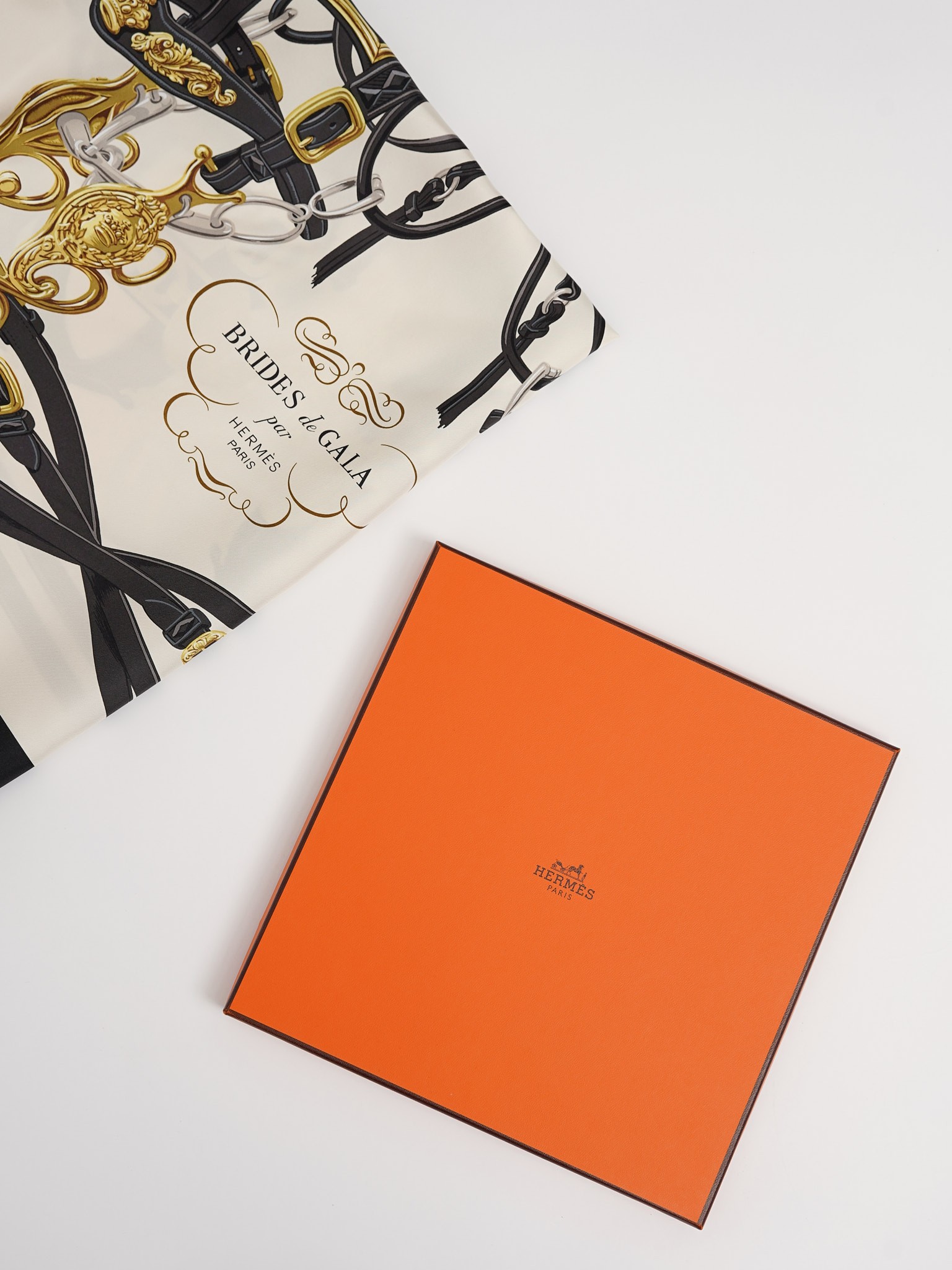 Hermes Silk Scarf 2