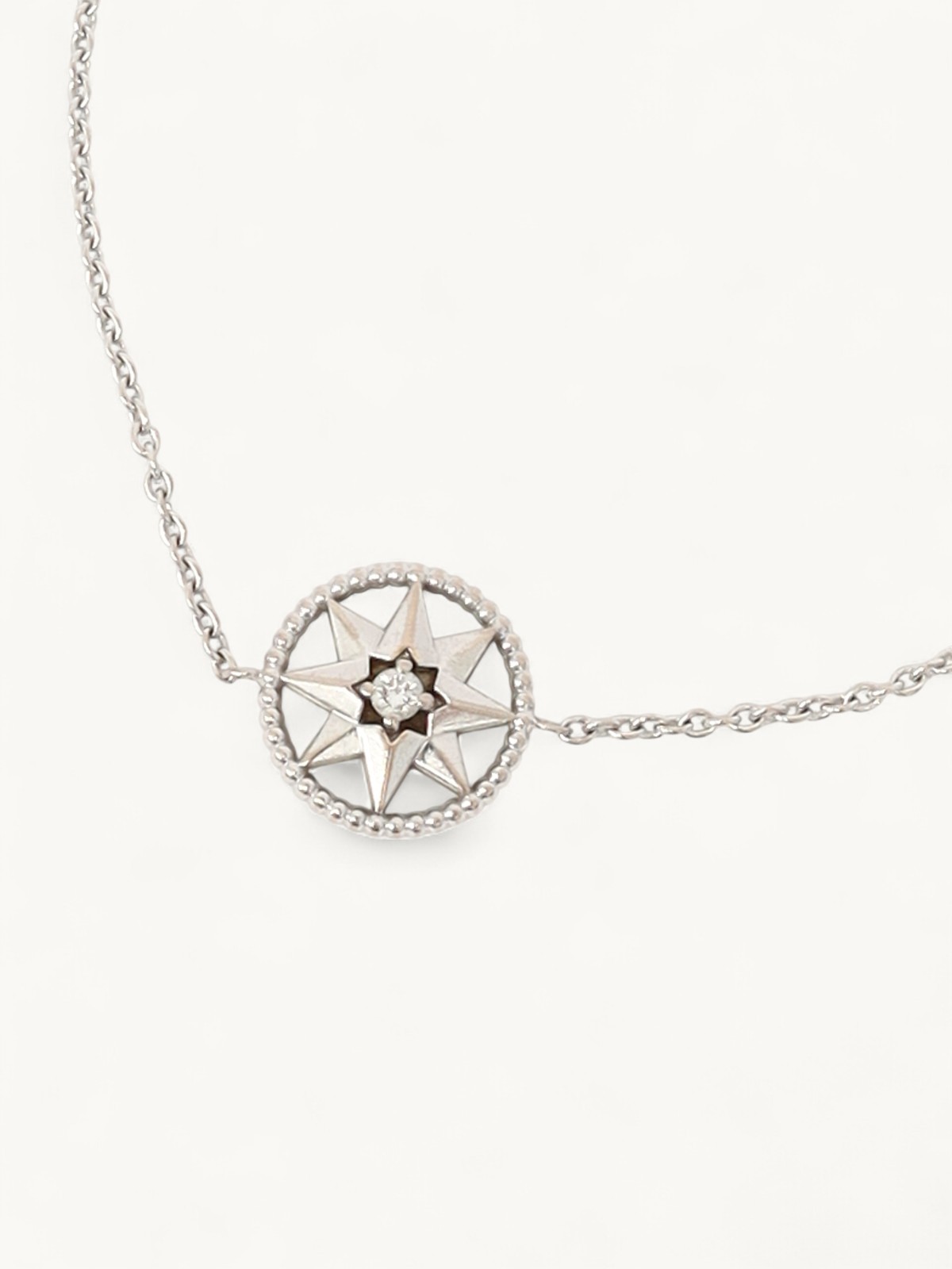 Dior Rose Des Vents  4