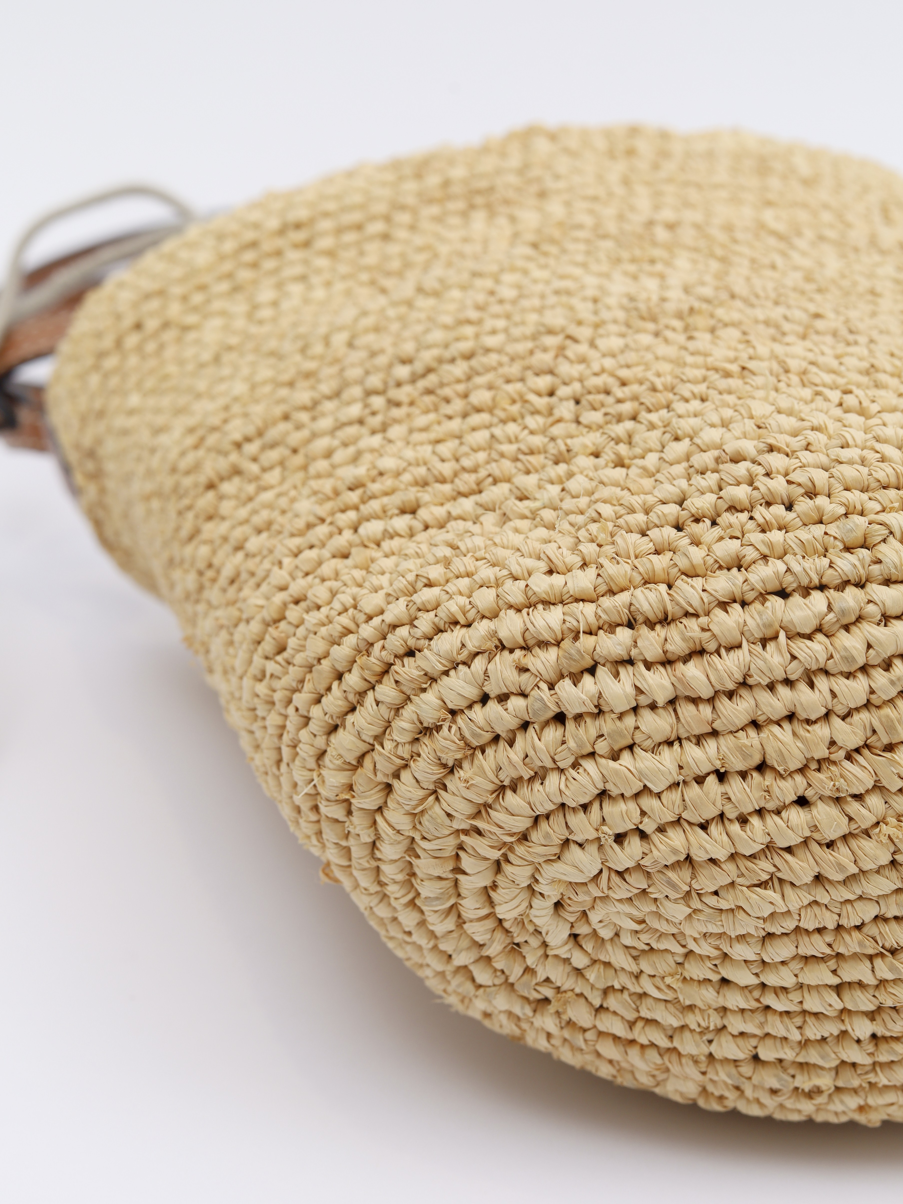Loewe Raffia Bag  6