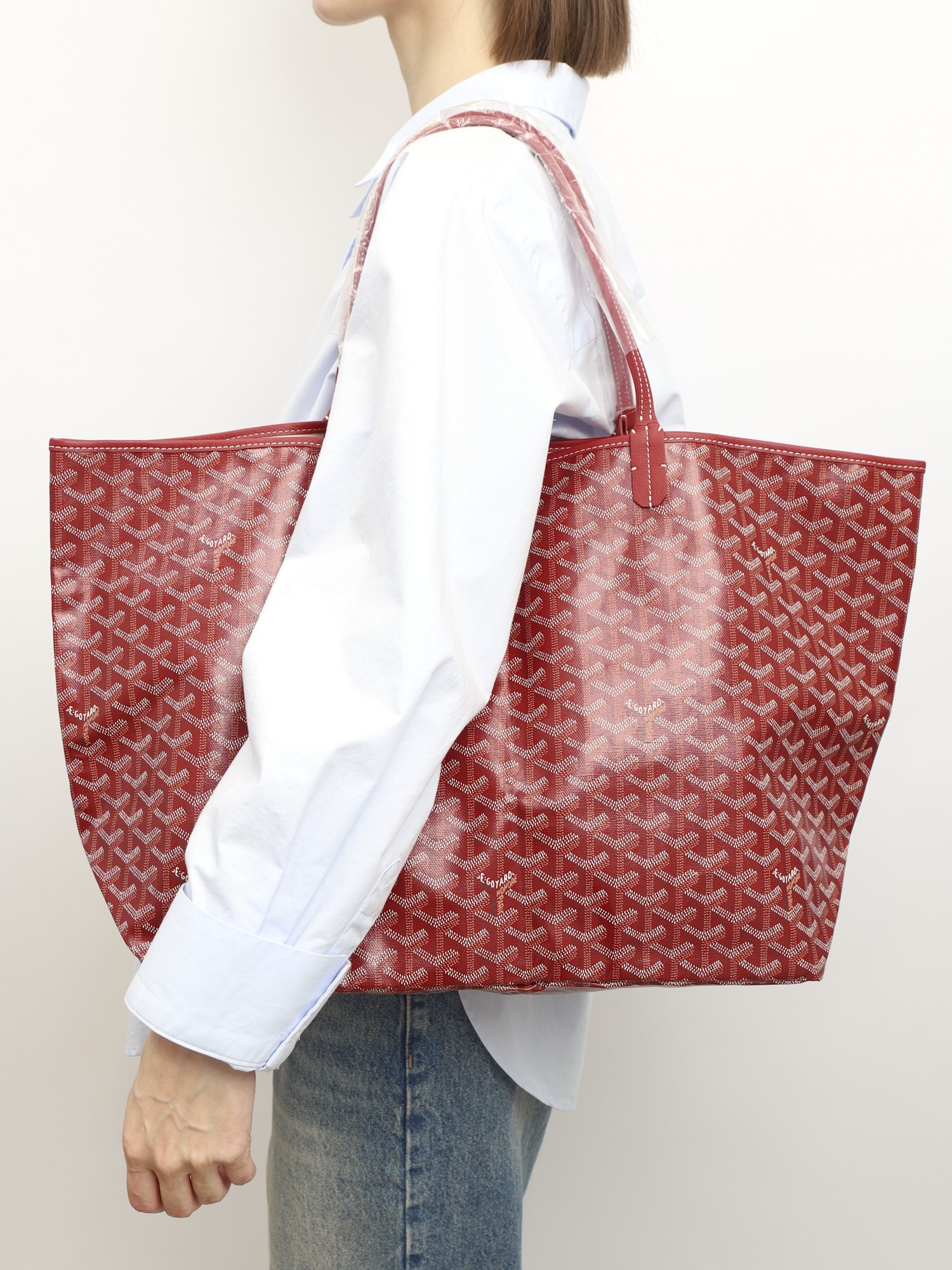 Goyard Saint Louis 1