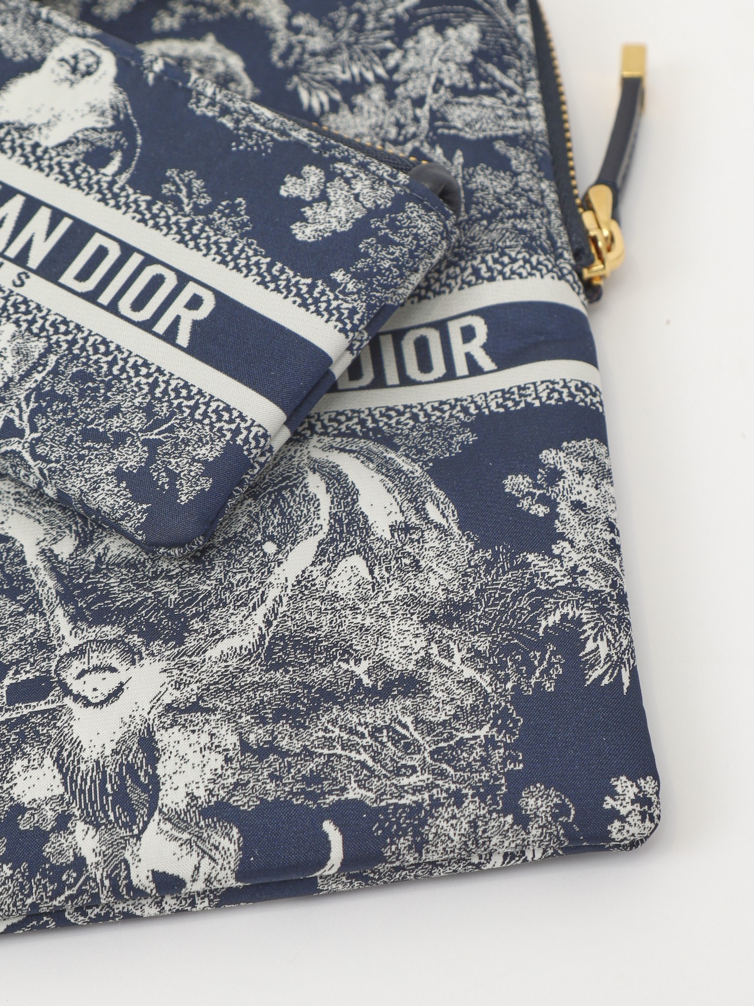 Dior Cases 6