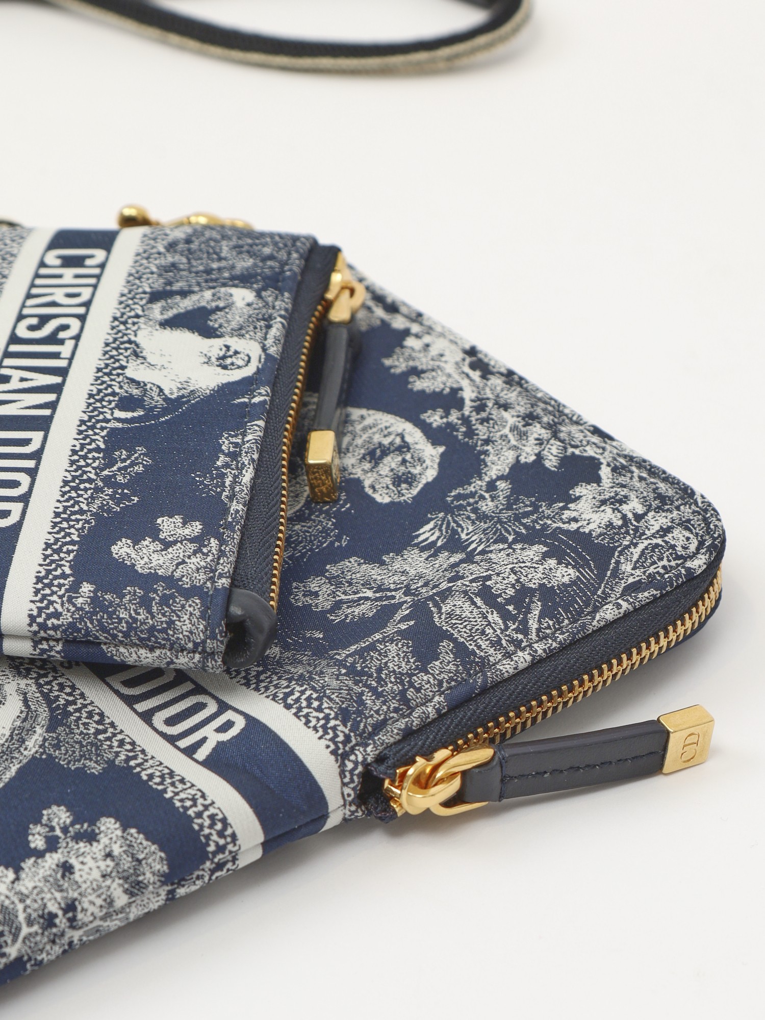 Dior Cases 5