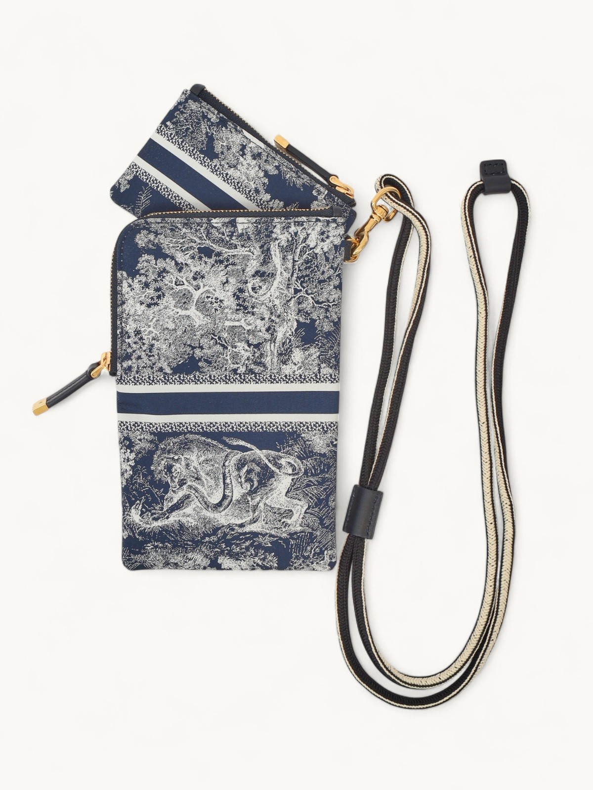 Dior Cases 2