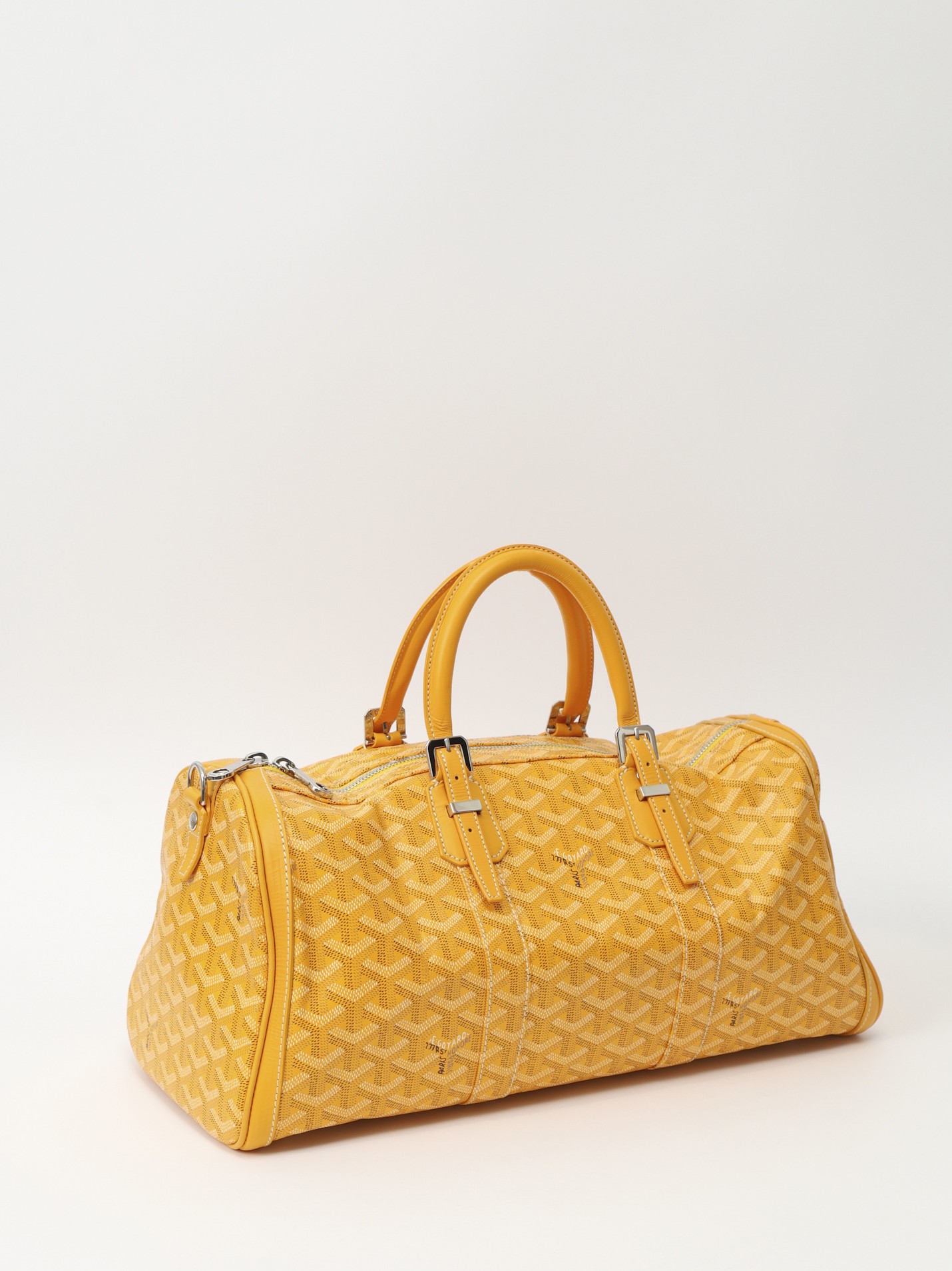 Goyard Croisiere 2