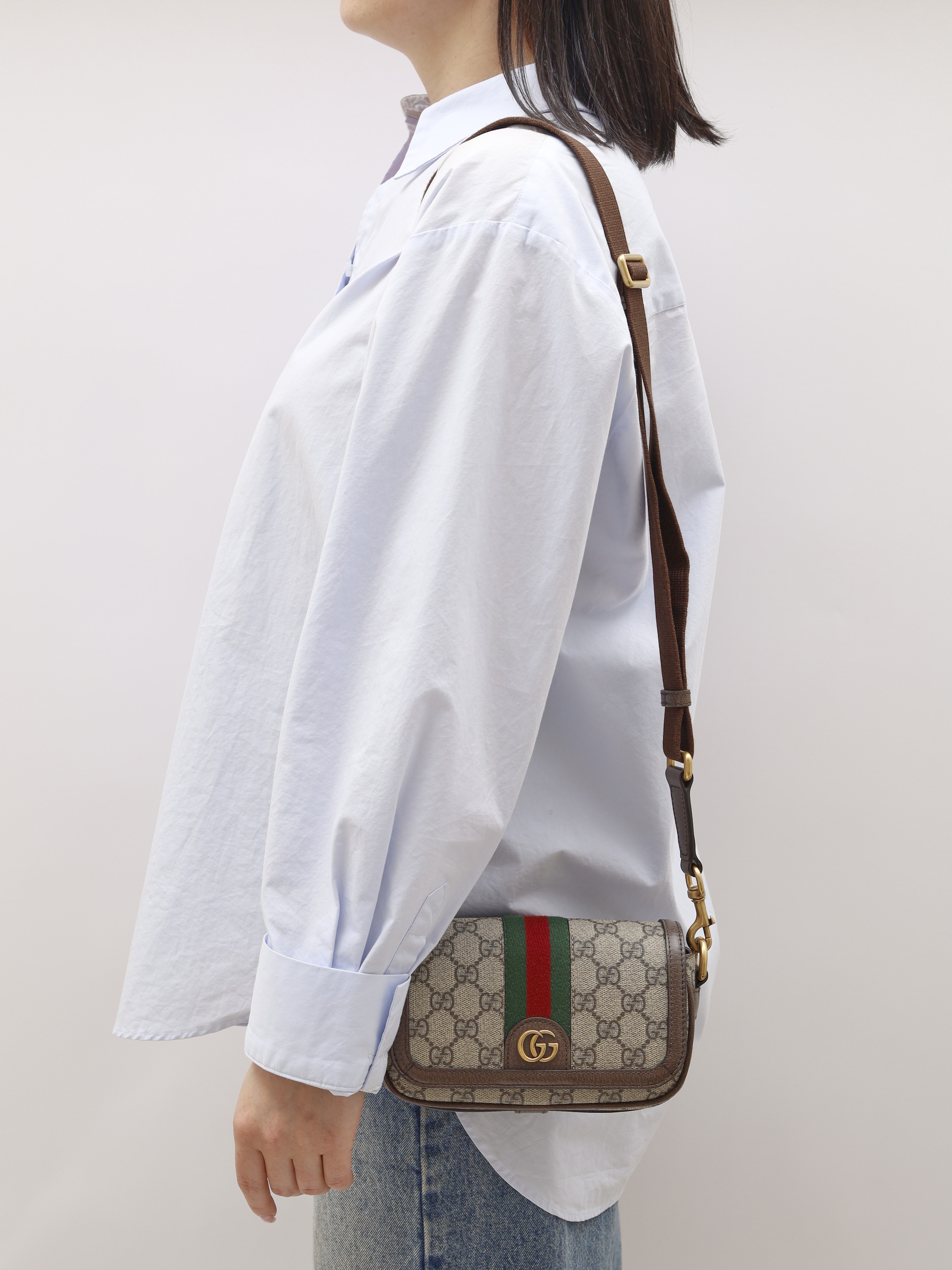 Gucci Ophidia 1