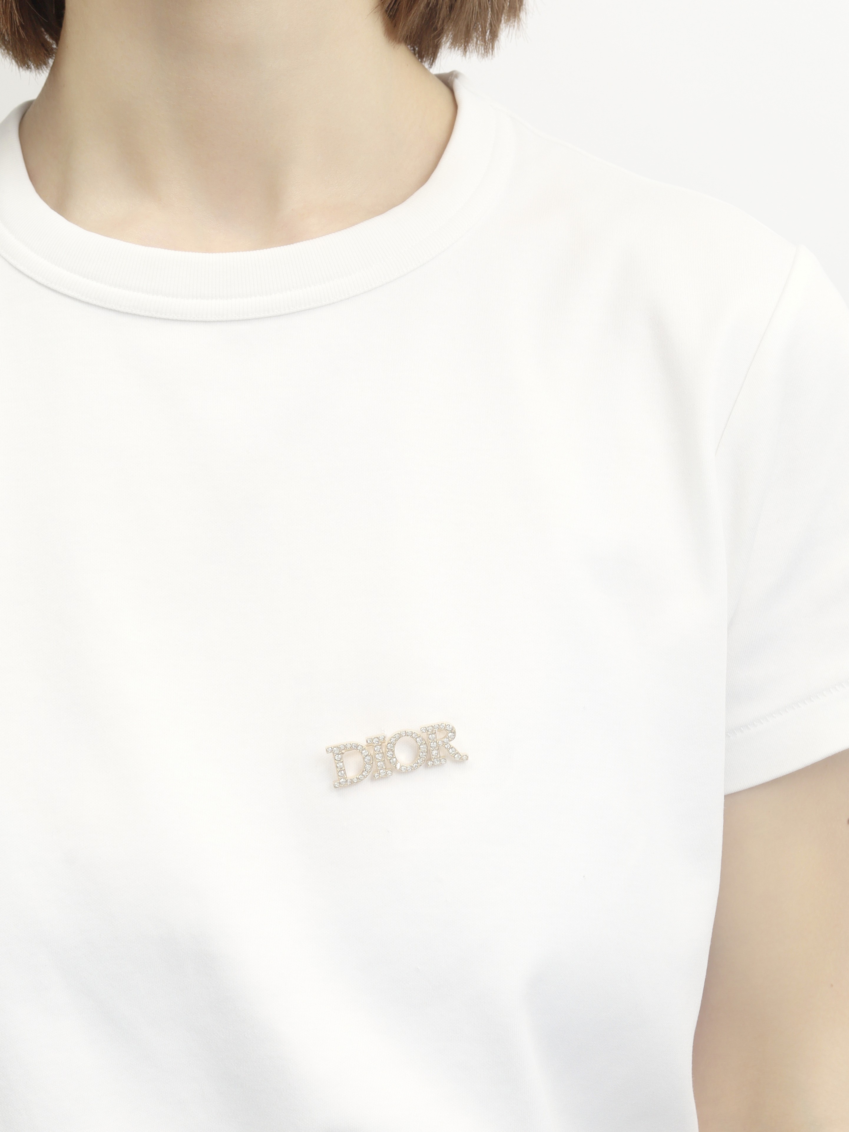 Dior Brooch  1