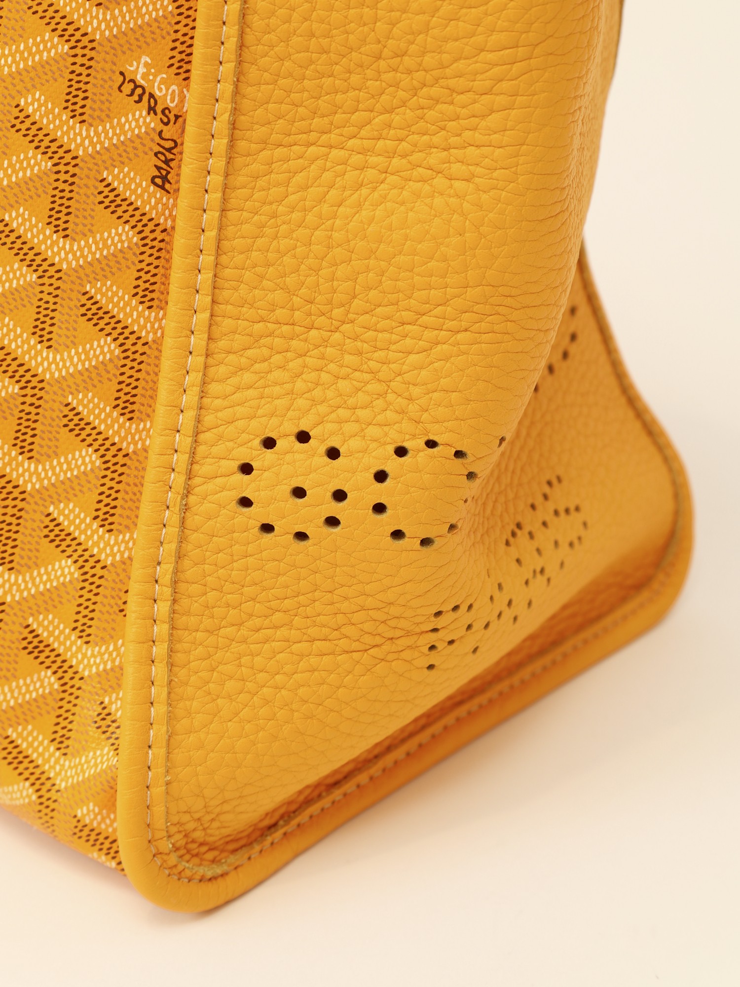 Goyard Saint-Louis 6