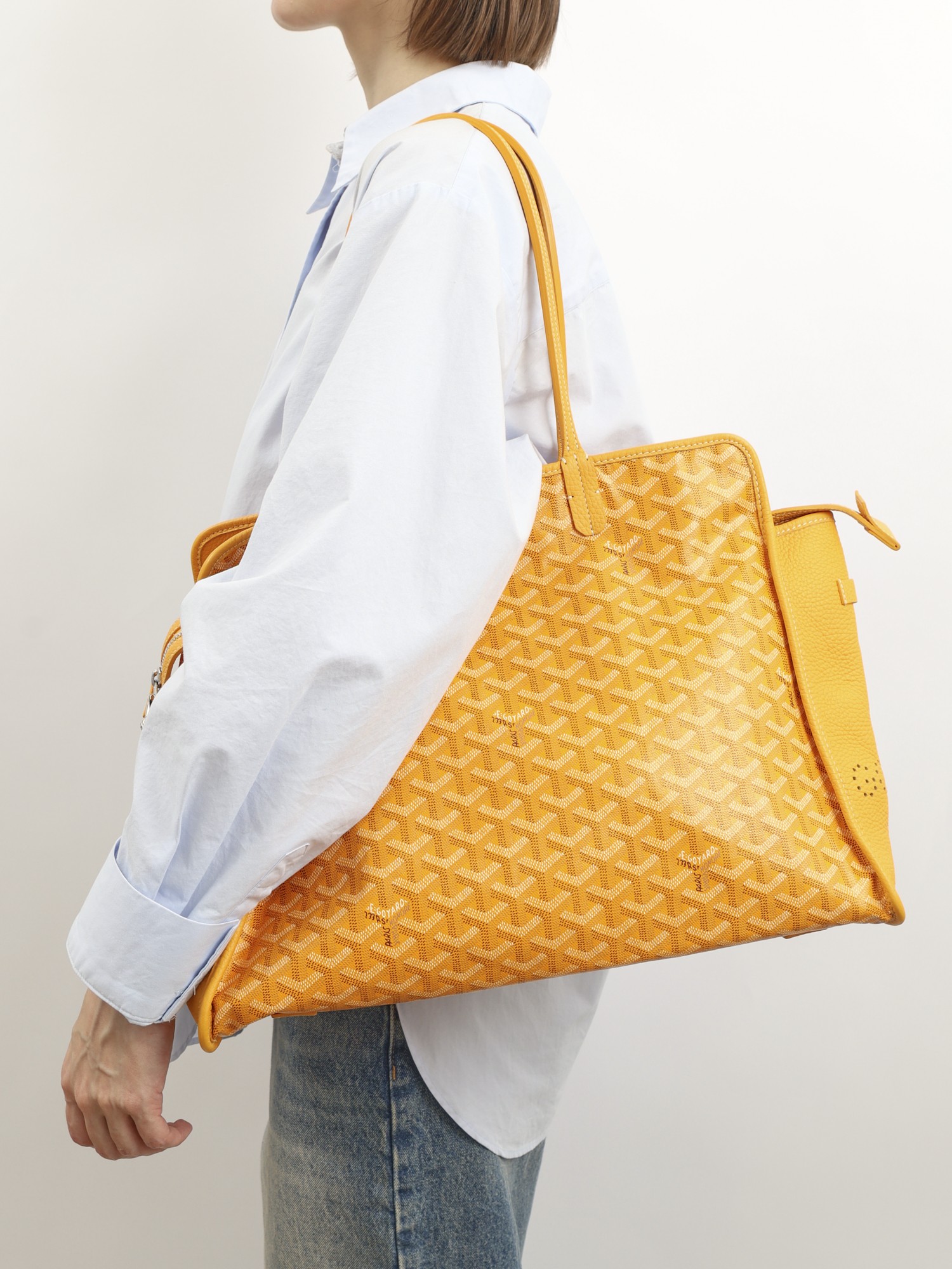 Goyard Saint-Louis 1