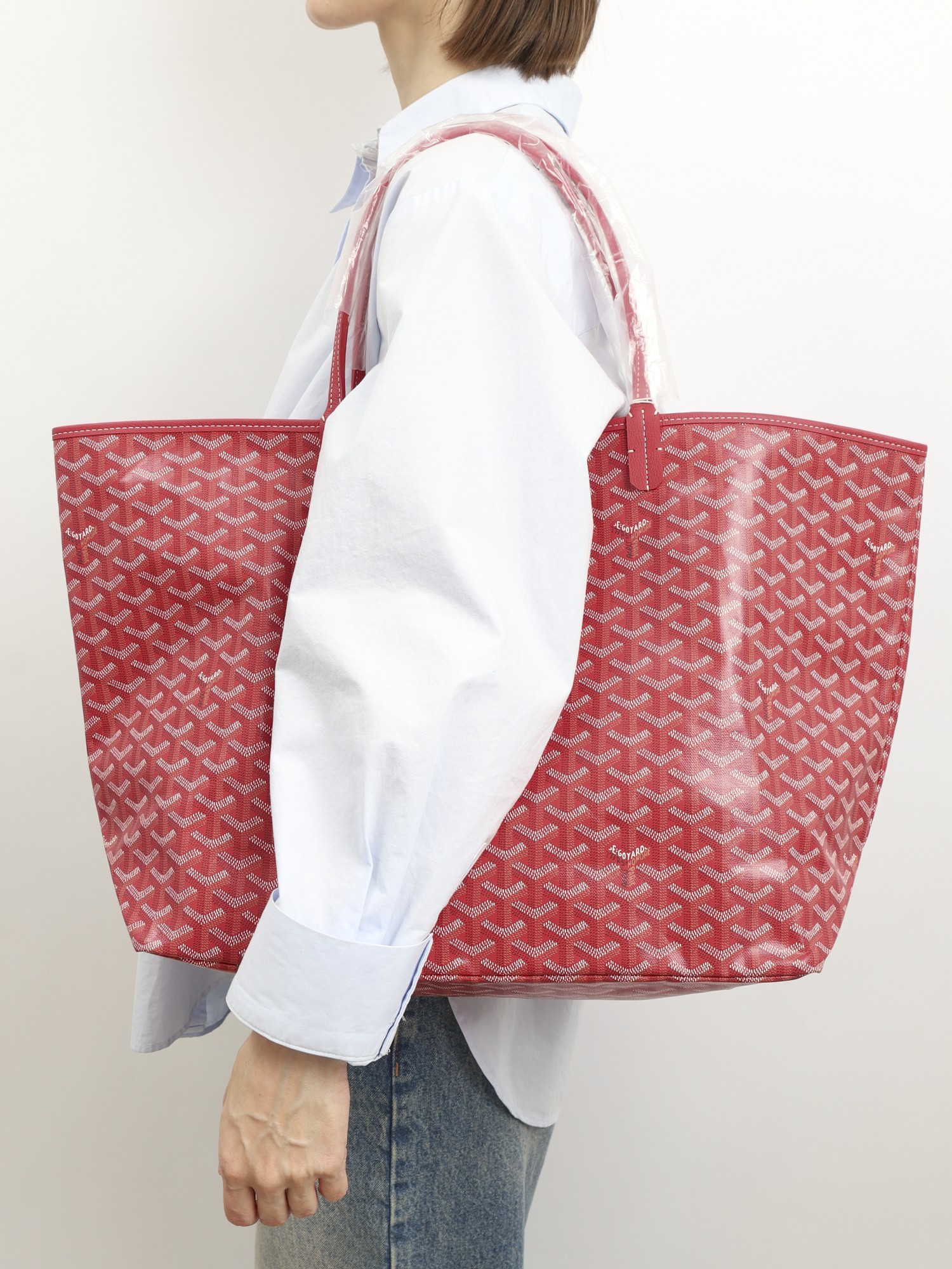 Goyard Saint Louis 1