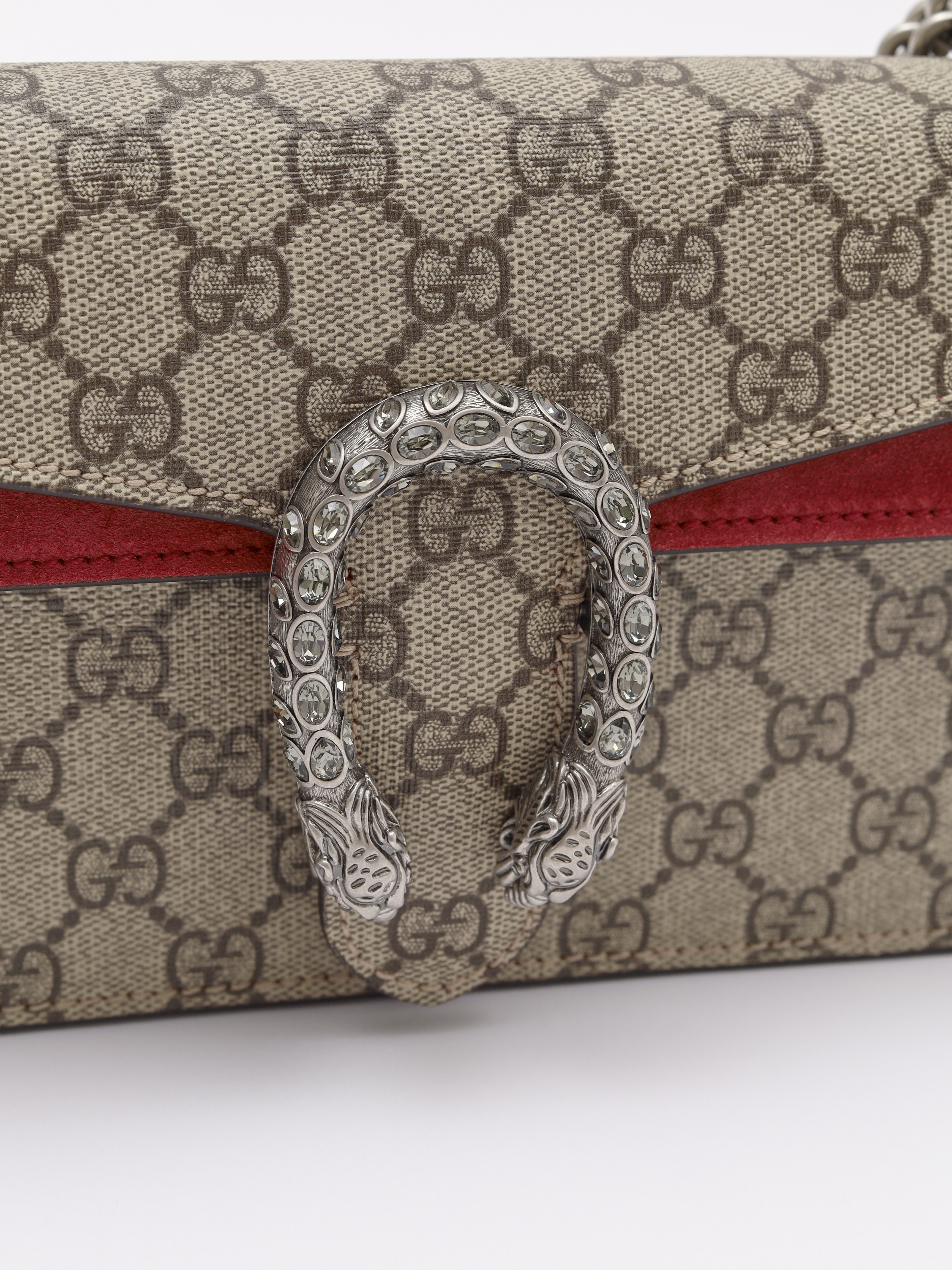 Gucci Dionysus  5
