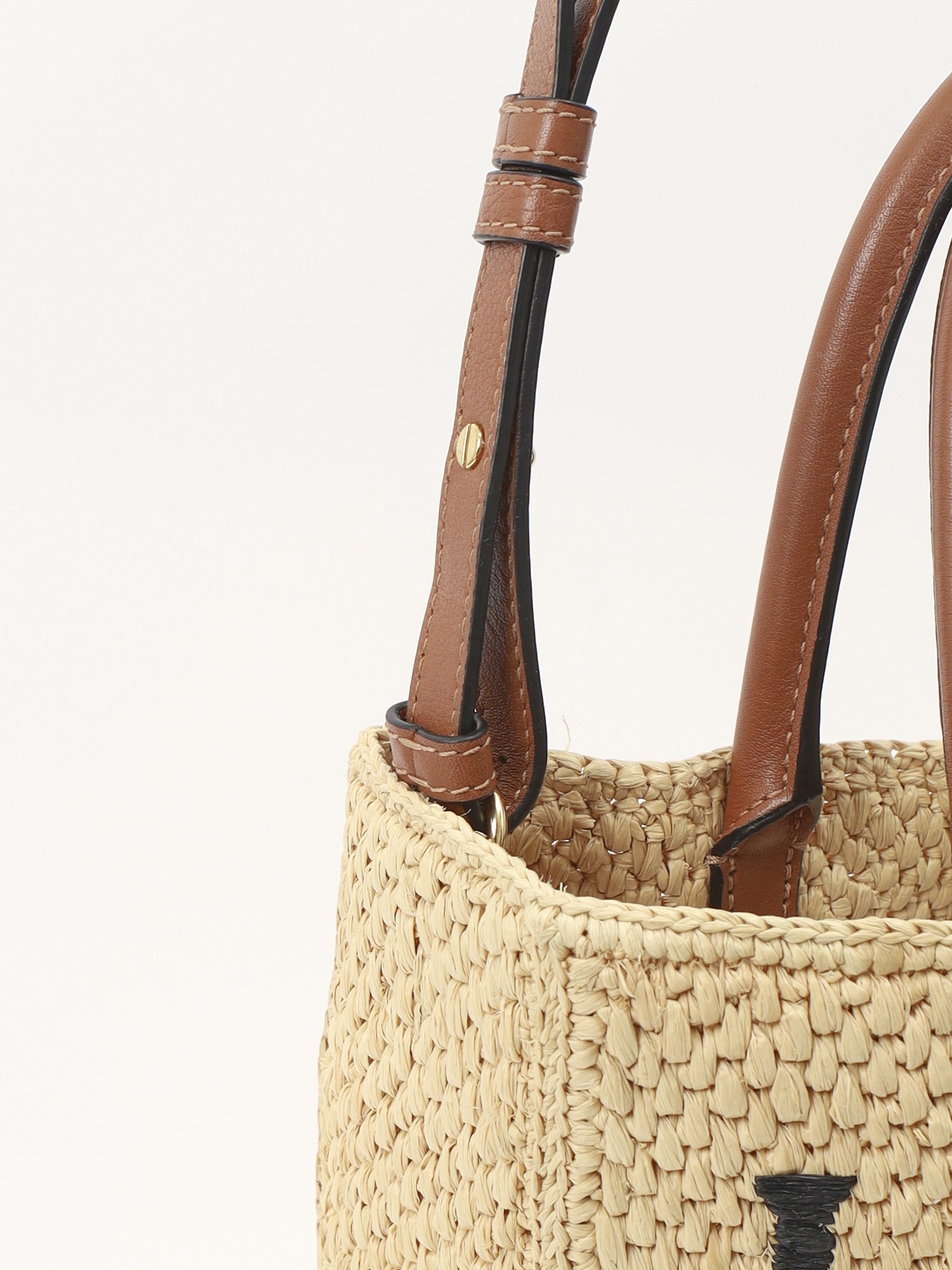 Loewe Raffia Bag 6